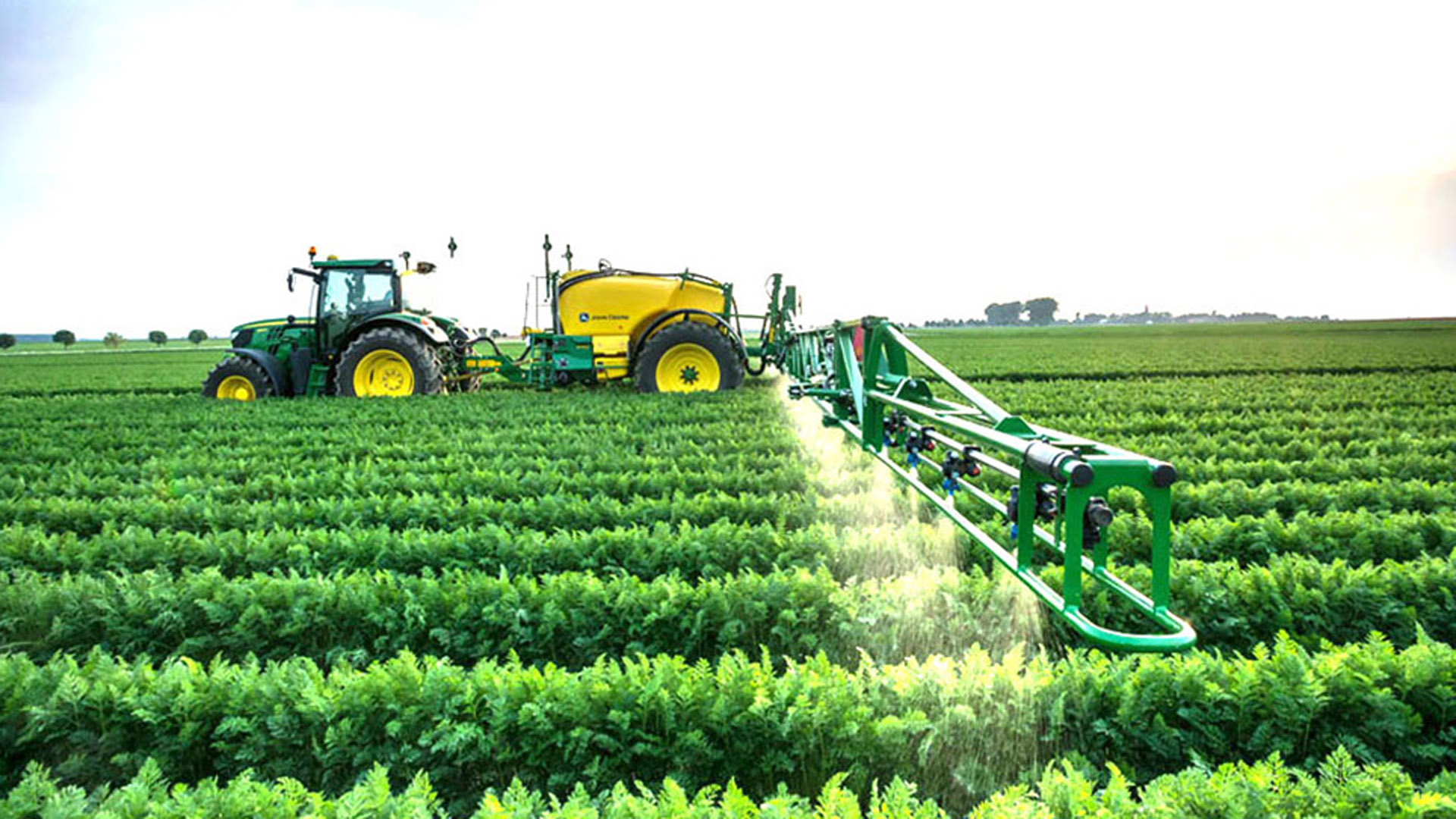 El sector de agricultura y pesca lidera las expectativas de empleo