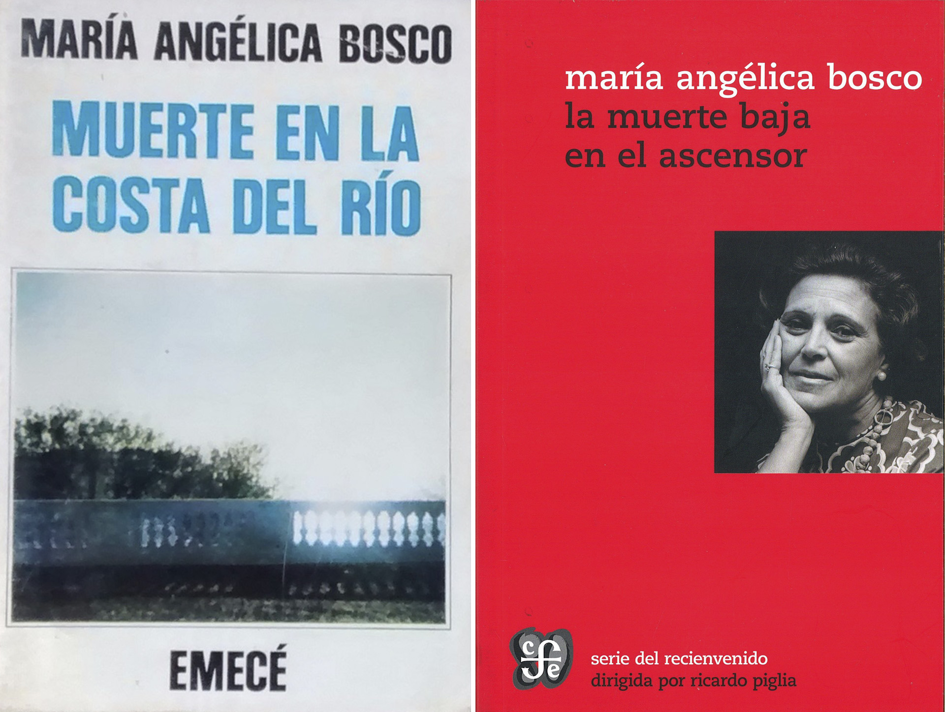 Títulos de María Angélica Bosco