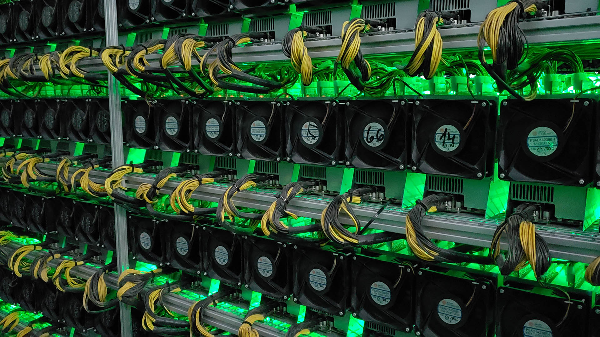 La mayor fábrica local de bitcoins: cuáles son los planes de los  empresarios que apuestan a la 