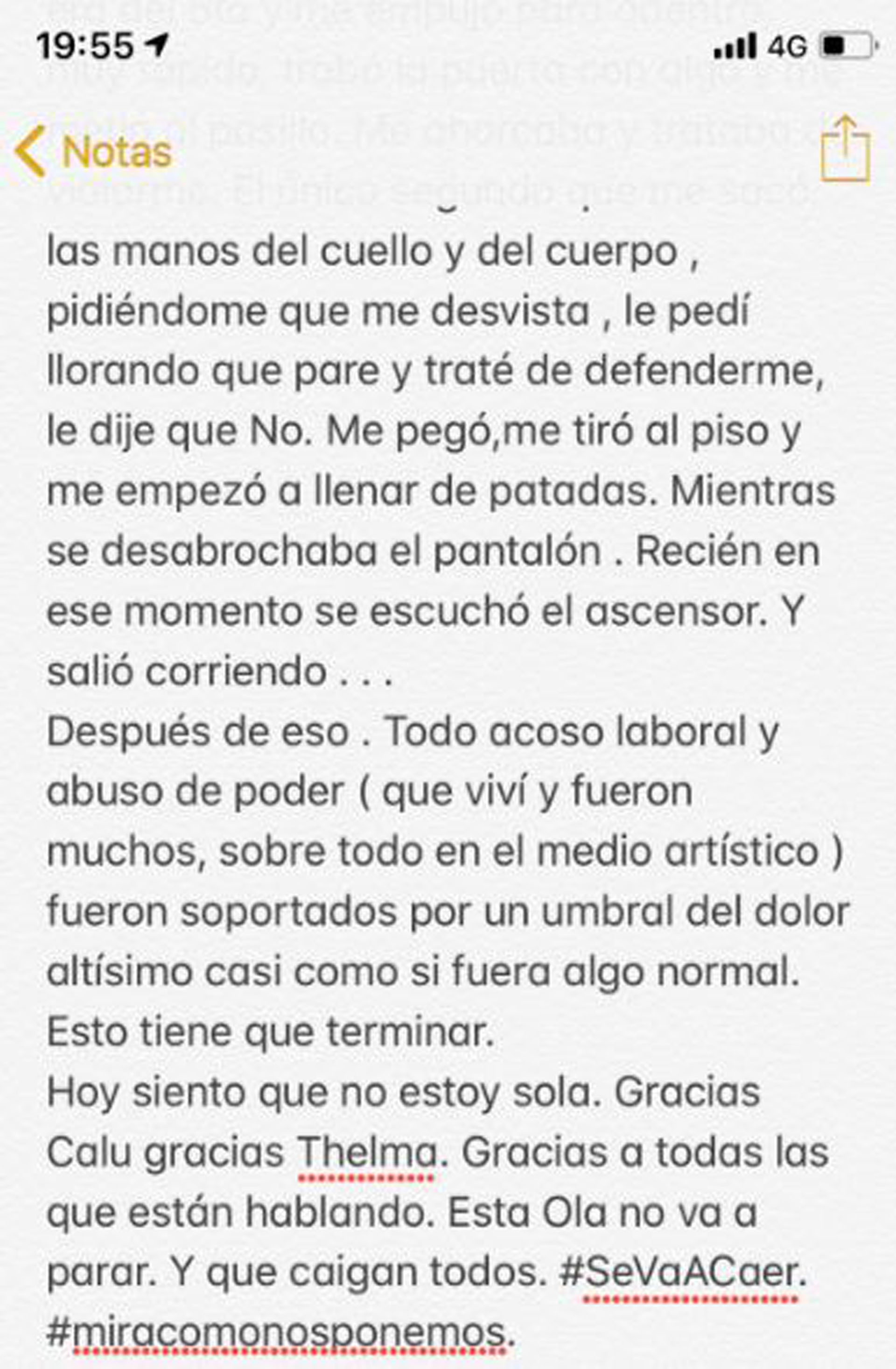 El mensaje completo de Magui Bravi