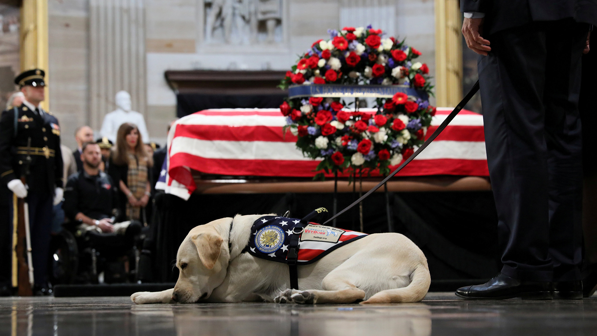 Sully, el perro del ex presidente George H. W. Bush, acompaña su féretro durante una misa en su memoria en la Catedral de Washington el 4 de diciembre