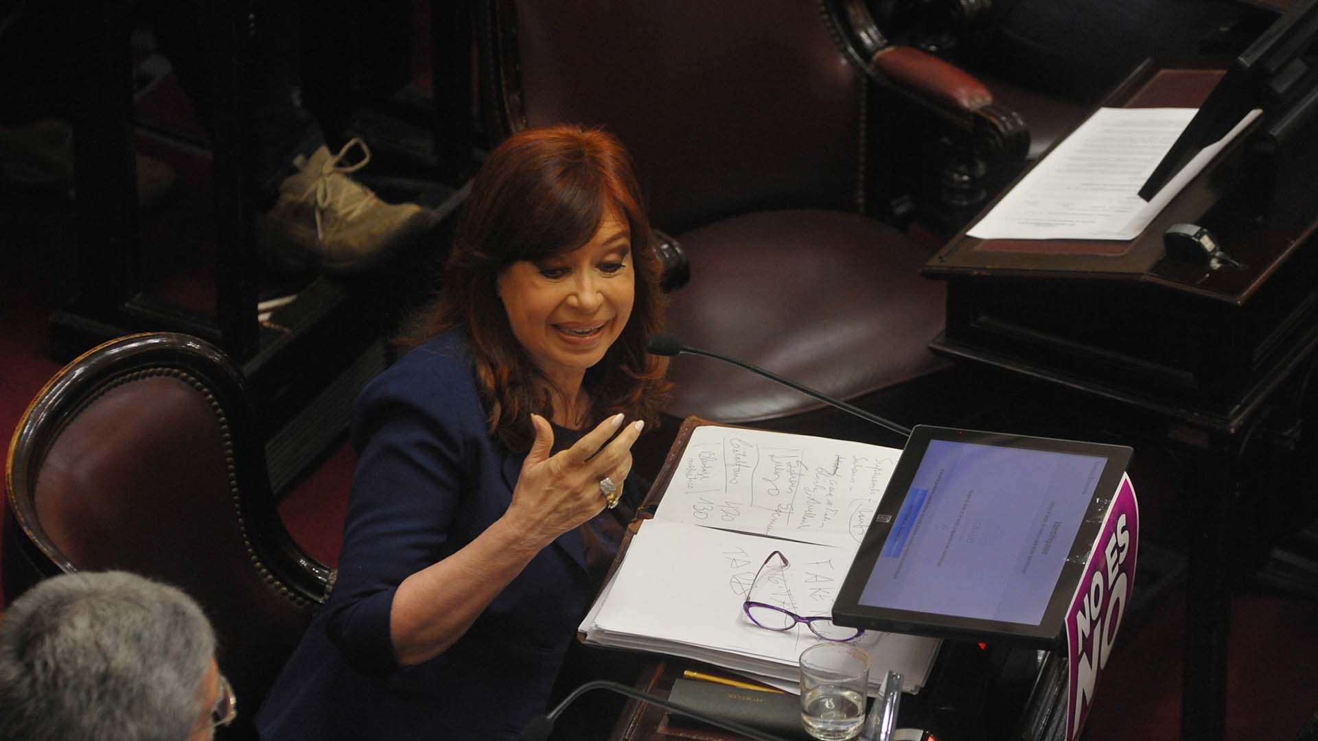 Cristina Kirchner (Patricio Murphy)