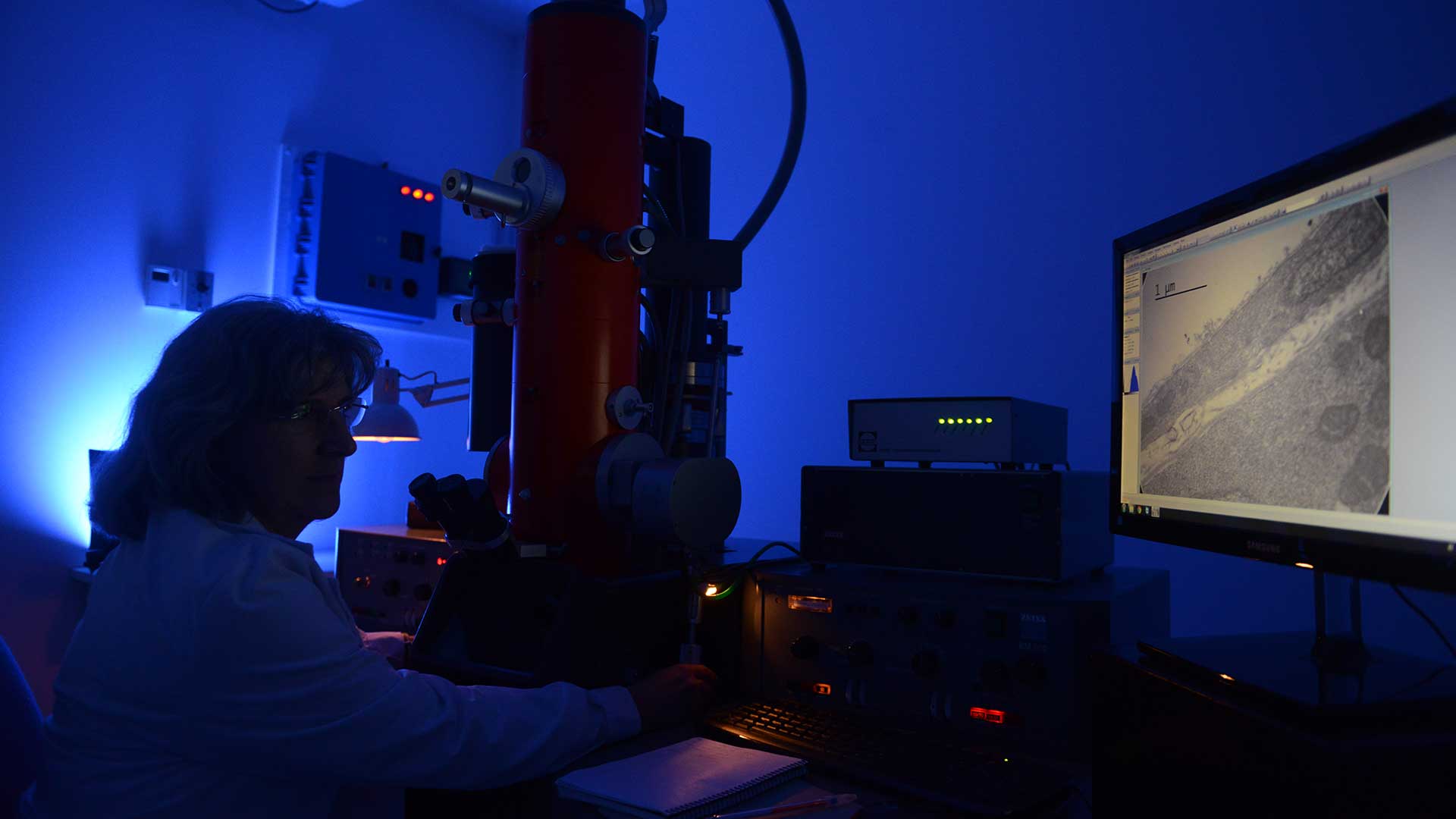 A pesar del pesimismo reinante, en los últimos años, la ciencia ha sido fuente de progresos inéditos en la historia de la humanidad. Foto: Fernando Calzada/DEF.