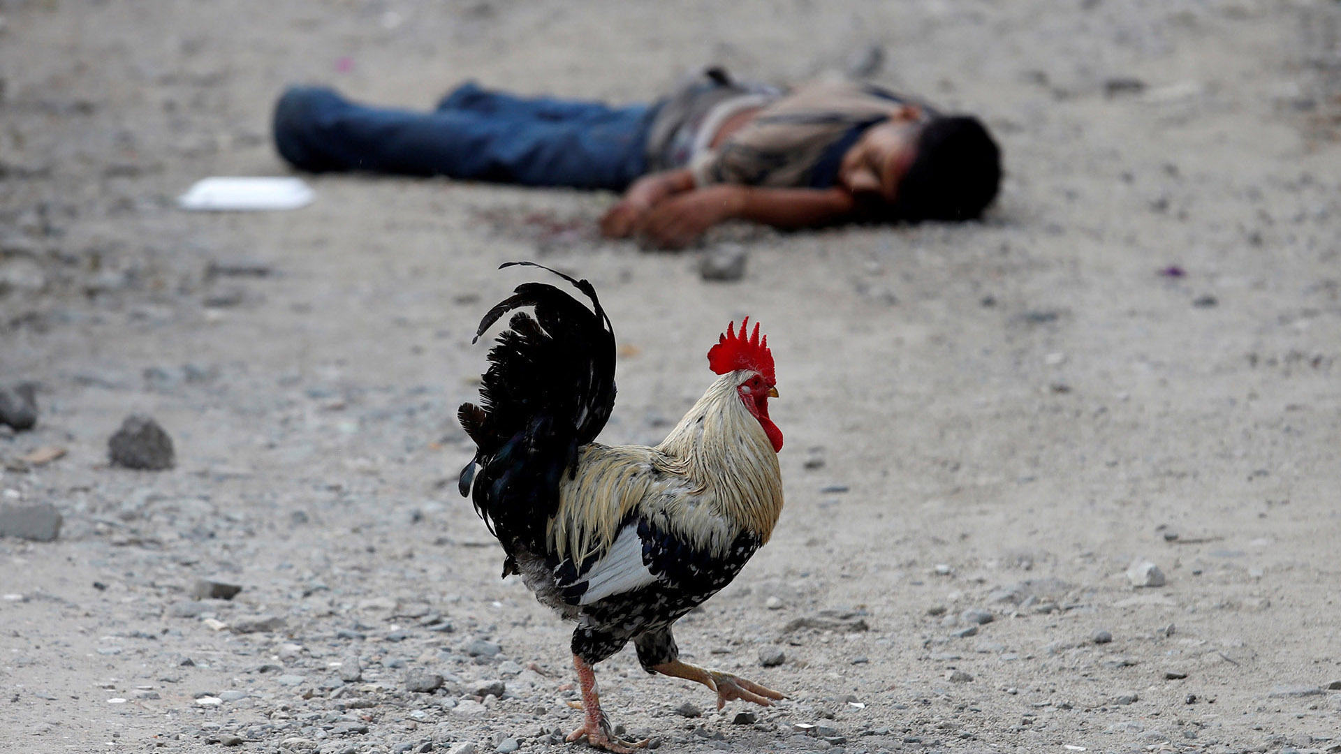 Diariamente desaparecen 4 menores en el país (Foto: REUTERS)