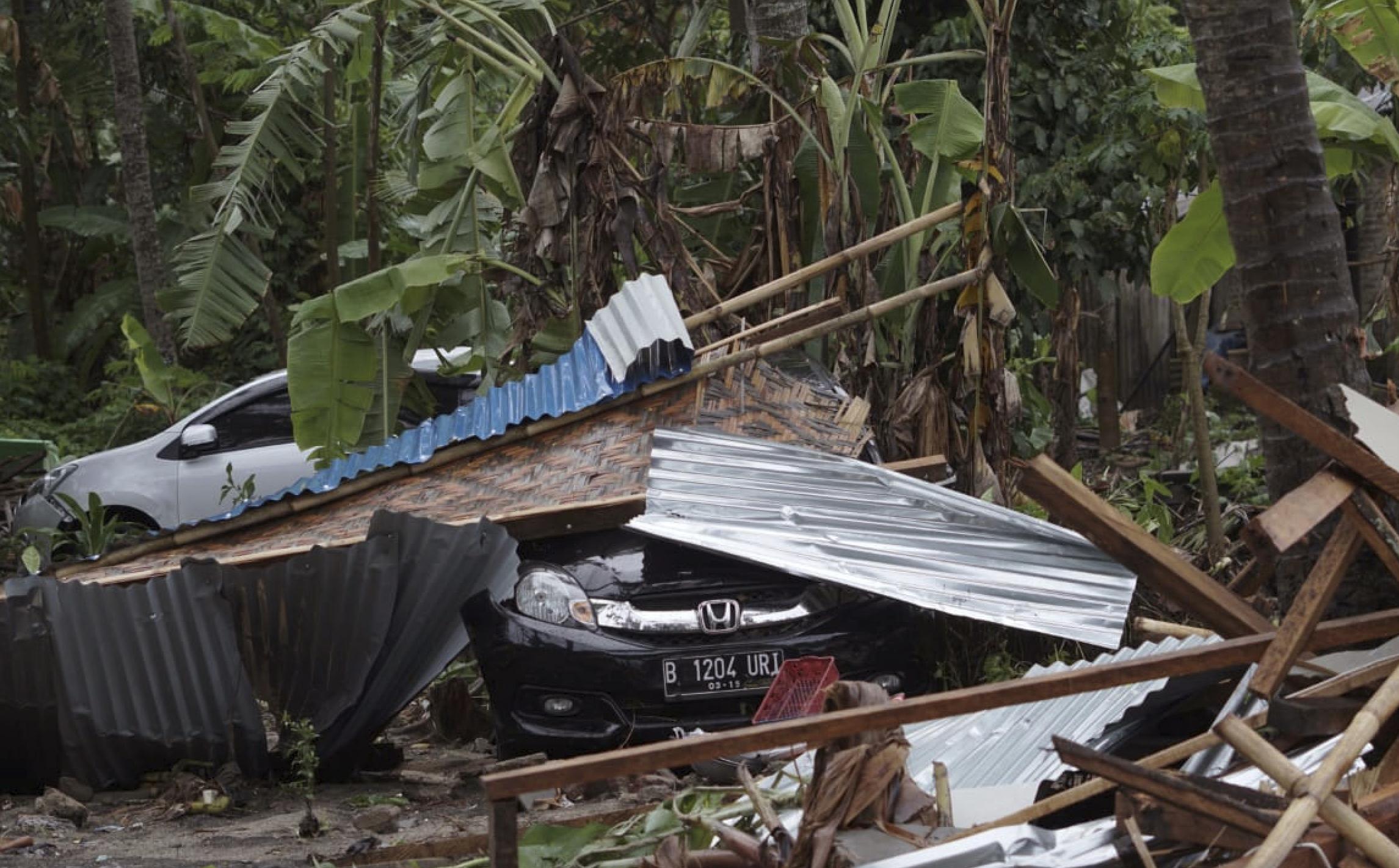 (AP Photo/Dian Triyuli Handoko)