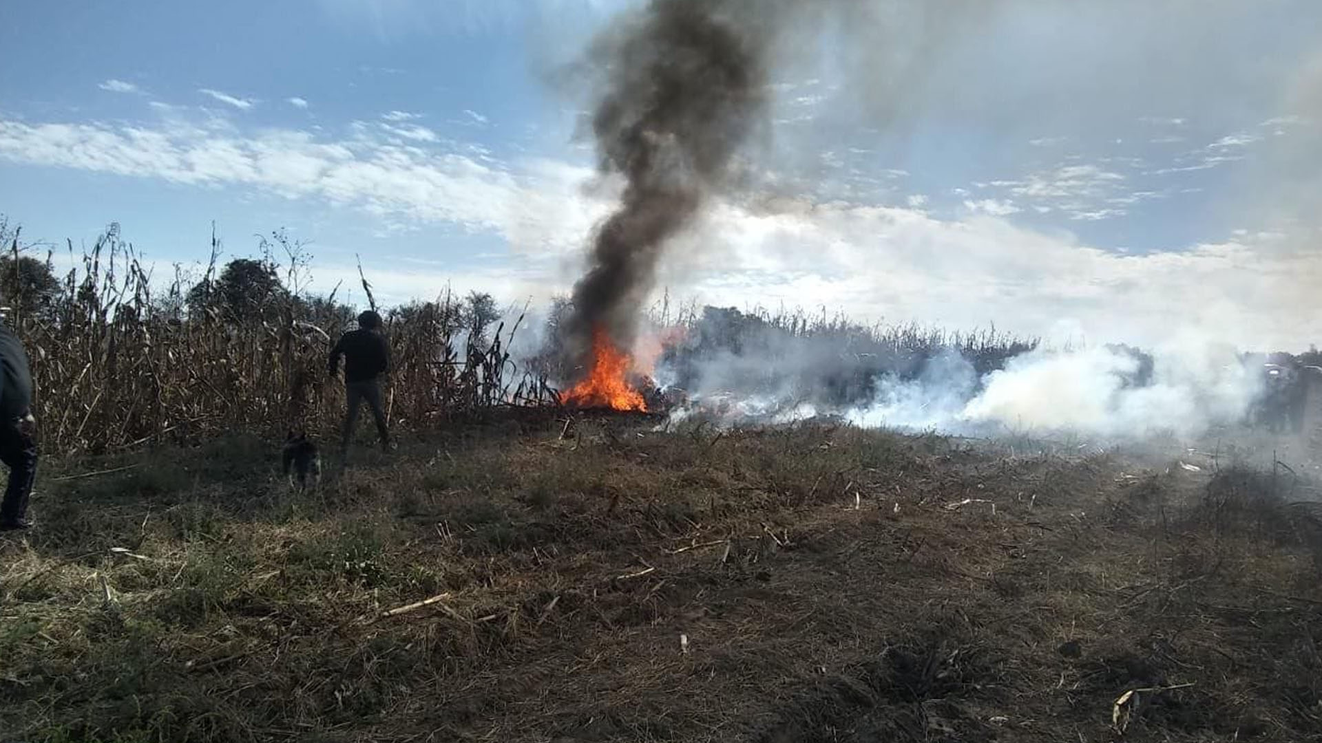 El accidente se registró a 10 minutos de haber despegado (Foto: especial)