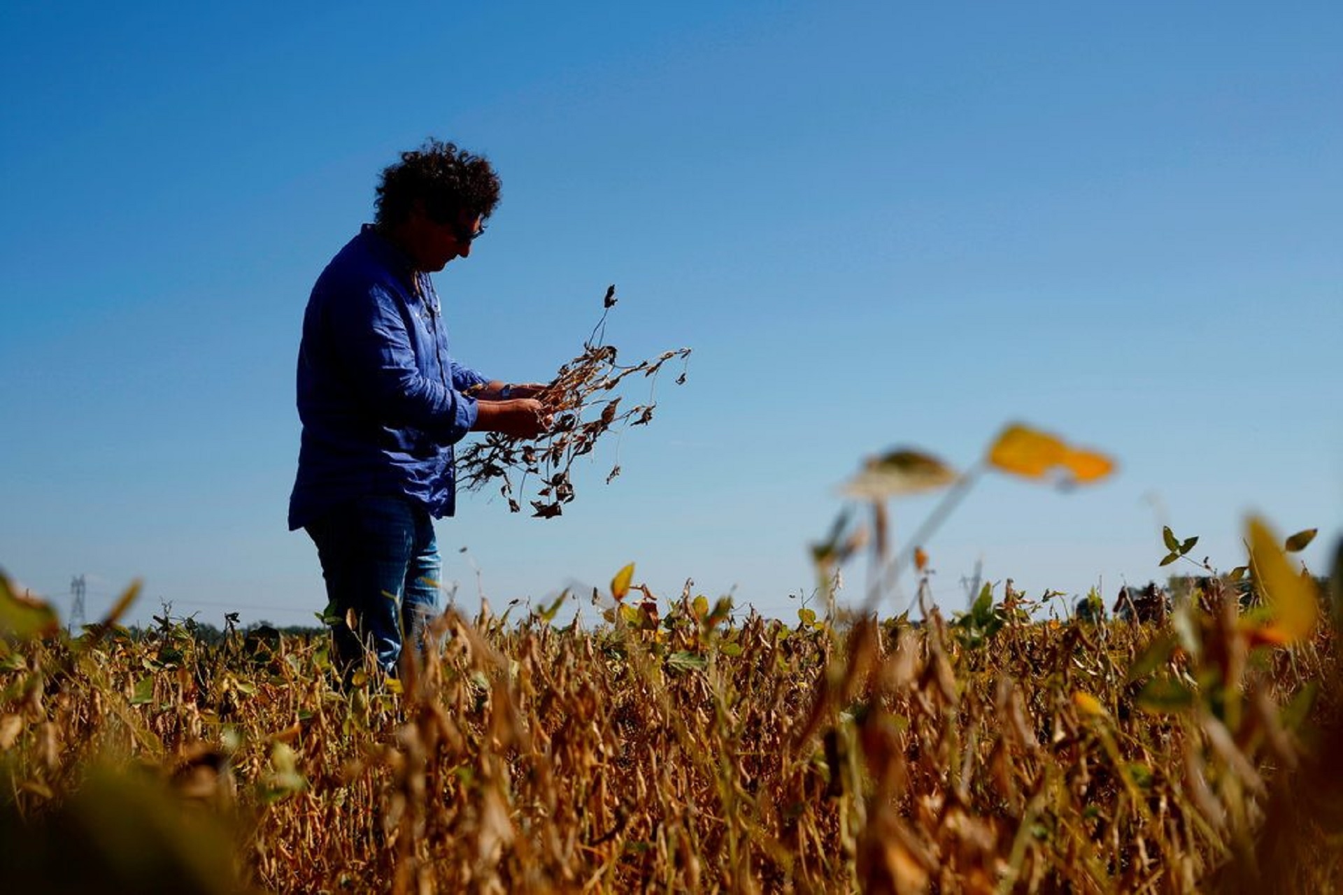 Desde fines de 2017 hasta abril de 2018, fue la peor sequía en 50 años. La cosecha de soja cayó 31% y la de maíz 20%