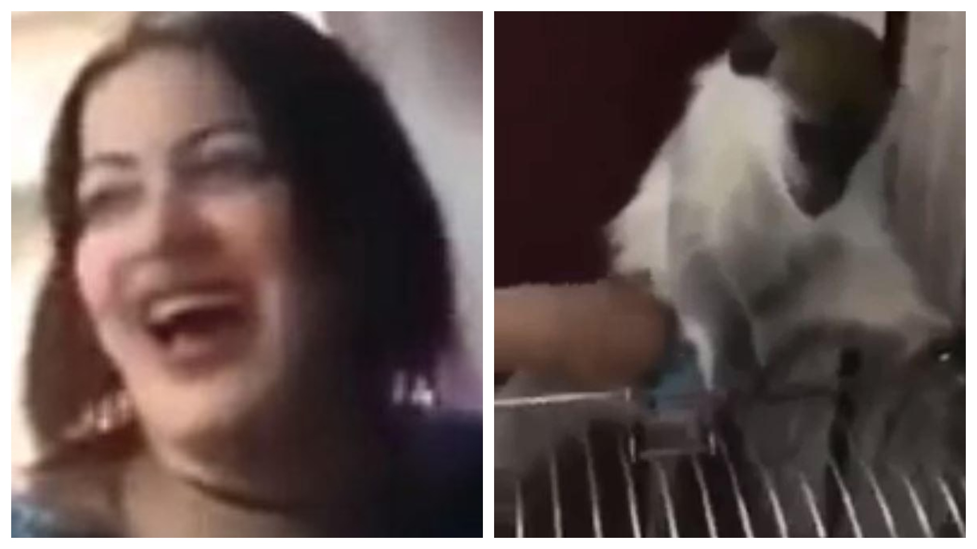 Un grupo de musulmanes consideró que cometía falta a la moral (Foto: Captura de Pantalla Video)