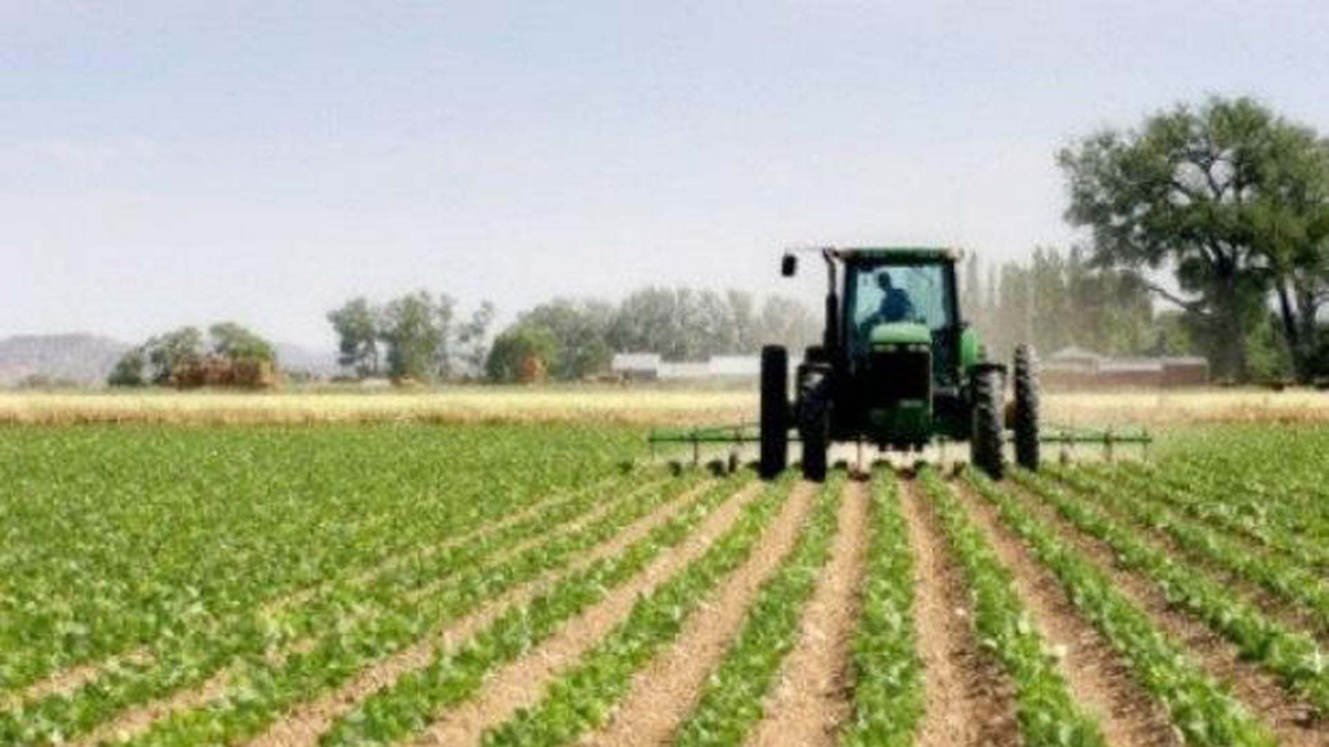 El precio de la soja bajó un 25% desde marzo a abril