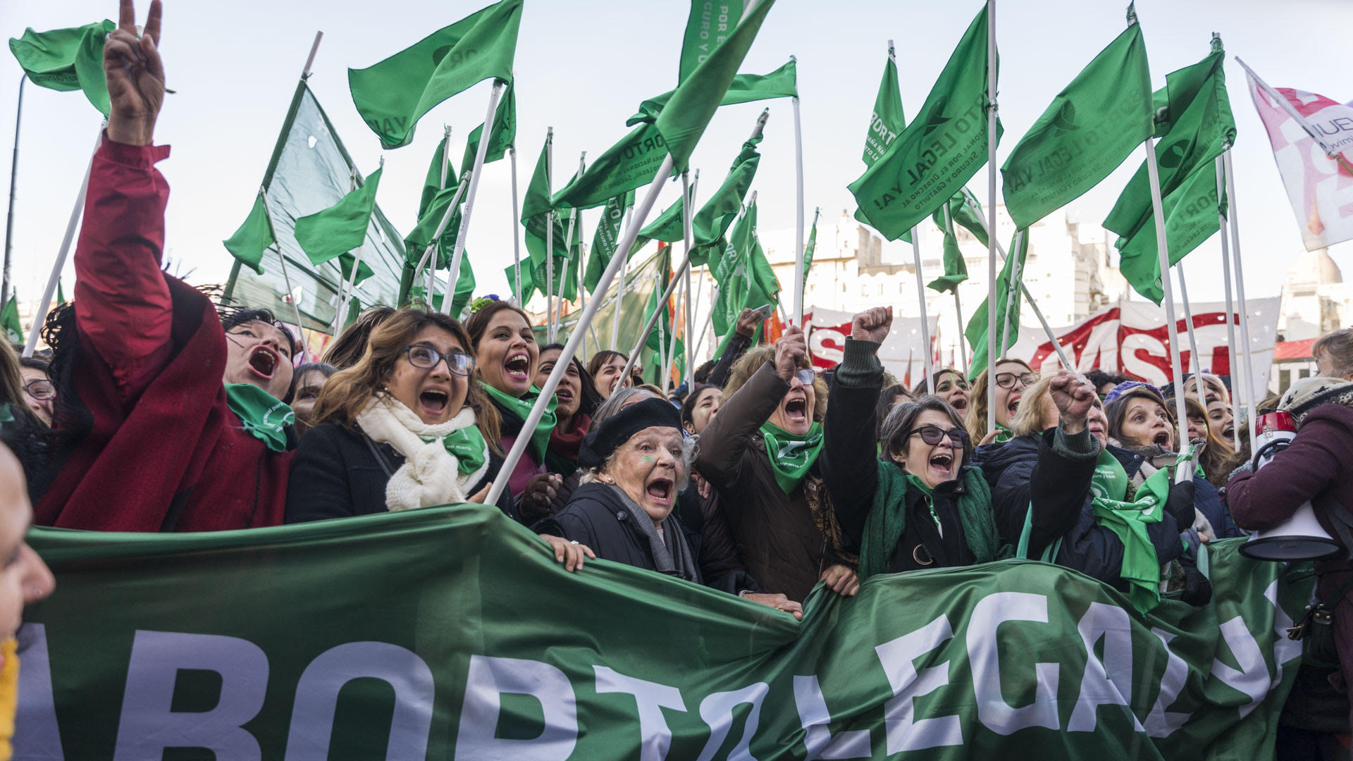 Festejo de los militantes pro aborto luego de que la Cámara de Diputados le dé media sanción al proyecto de ley para la interrupción voluntaria del embarazo (Julieta Ferrario)