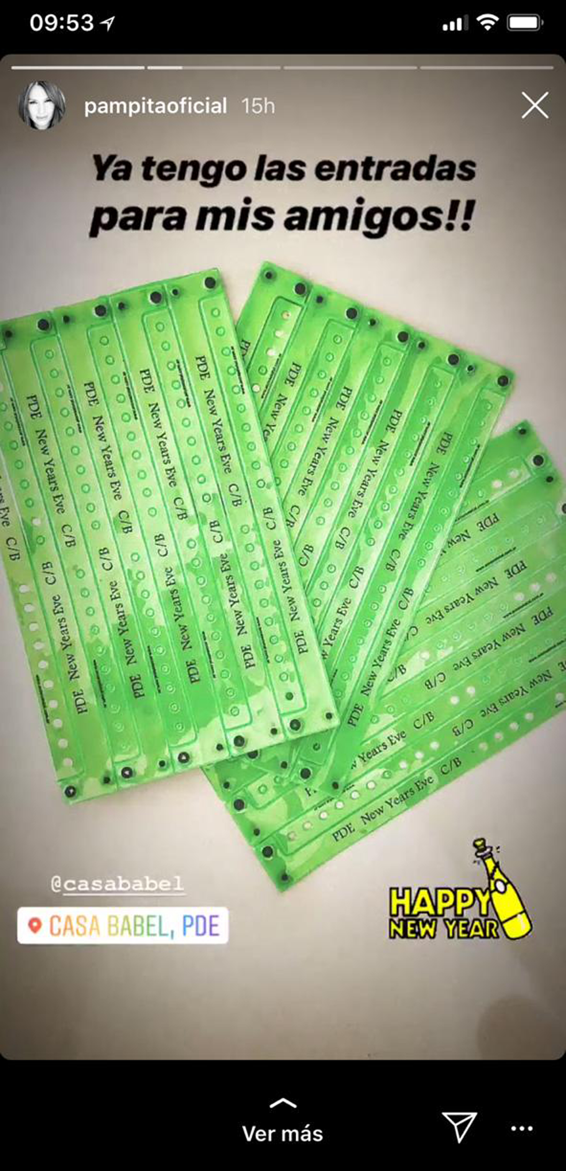 Pampita ya tiene lista la entrada para la exclusiva fiesta de Casa de Babel
