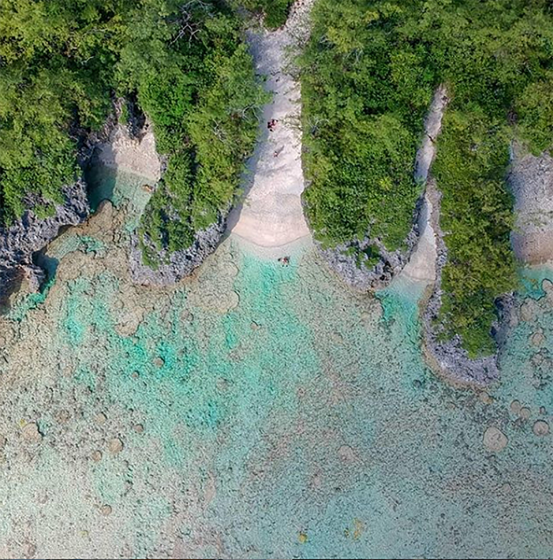 La isla Mauke más conocida como la isla jardín tiene una increíble historia de amor detrás de su significado