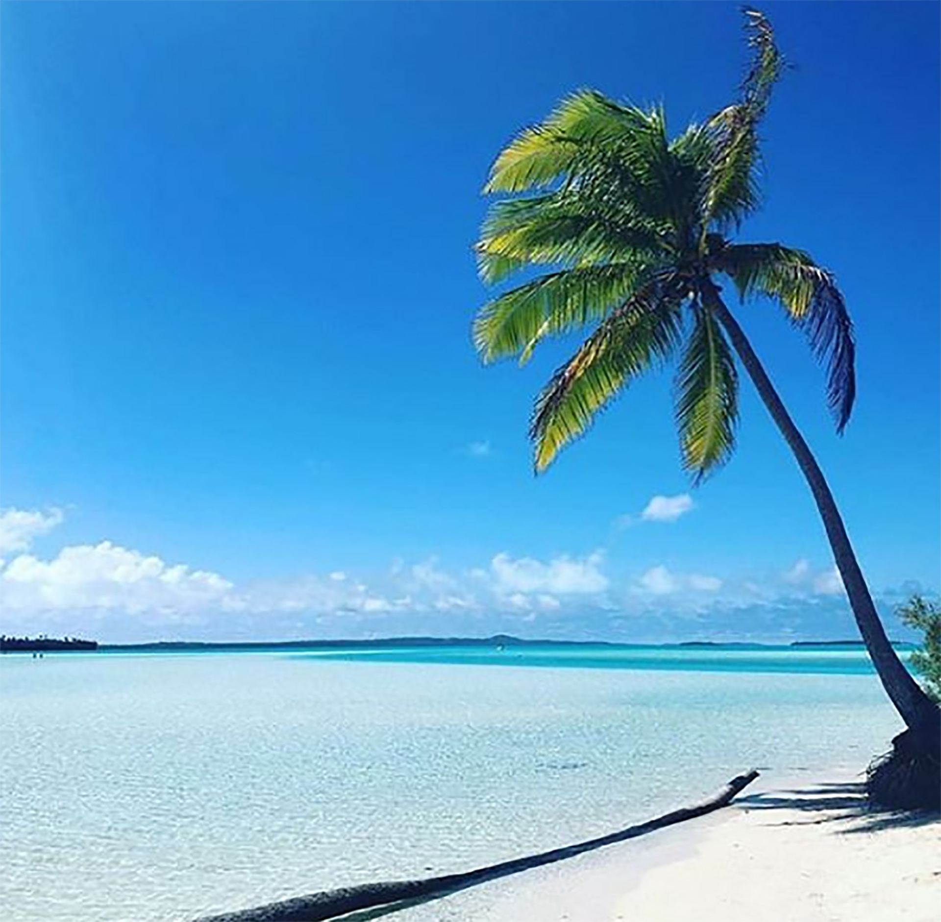 Con un increíble paisaje, esconde tesoros hermosos y posee múltiples actividades para los turistas (@pacificaitutaki)