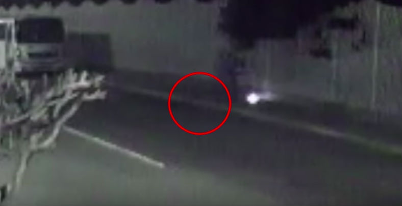 En el video se observa al perro acercándose por su voluntad al artefacto explosivo (Foto: Captura video)