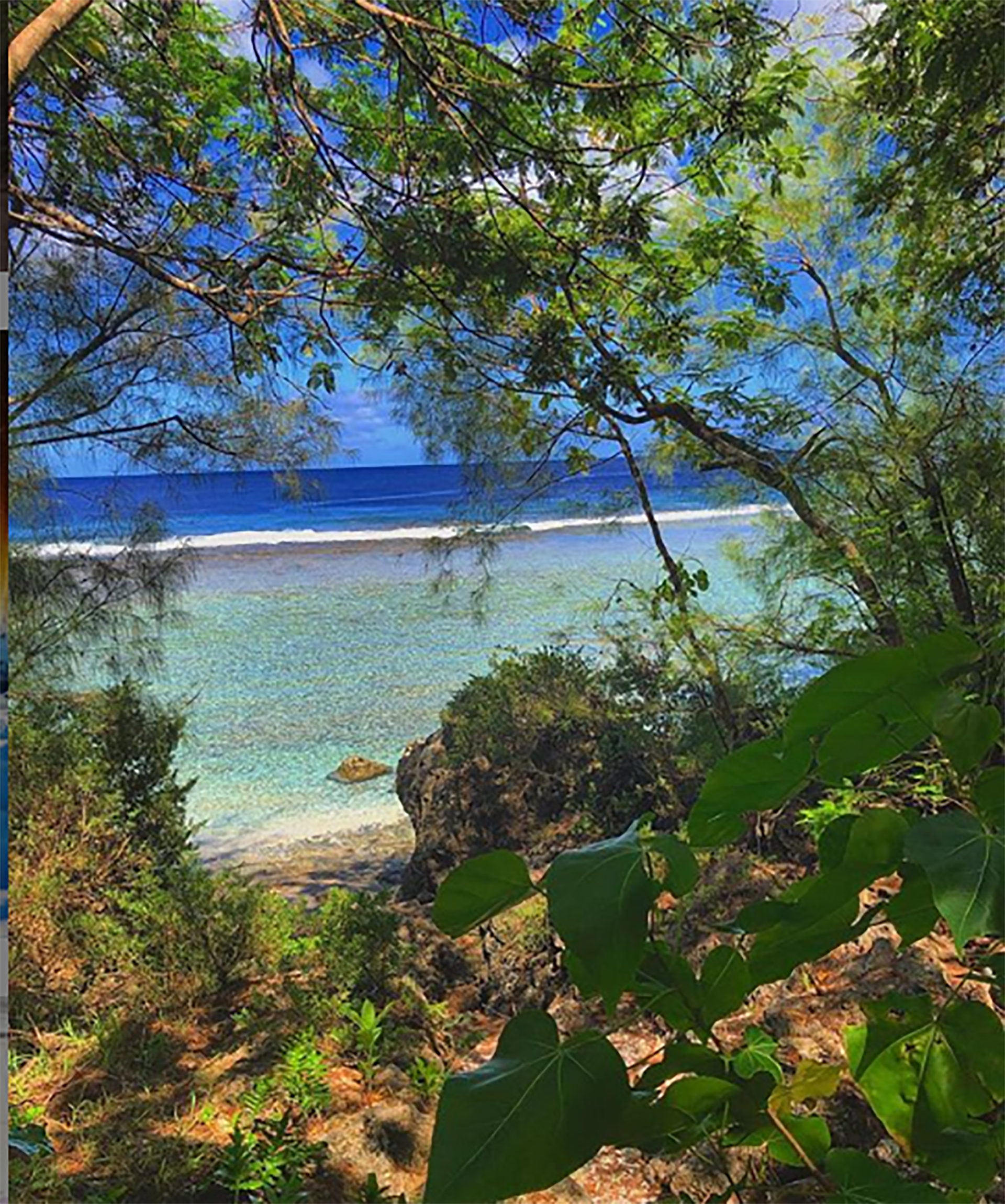 También es conocida como la isla-jardín y es un verdadero paraíso (@ericatiny)