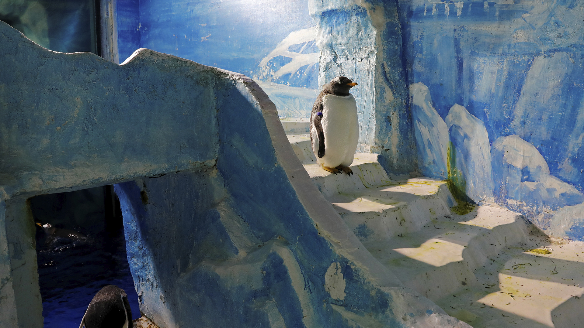 Un pingüino en la entrada de una estructura de hielo en Harbin