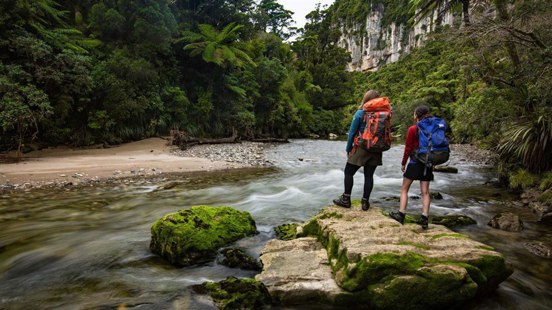 El parque nacional de Paparoa está situado en la costa oeste de la Isla del Sur de Nueva Zelanda