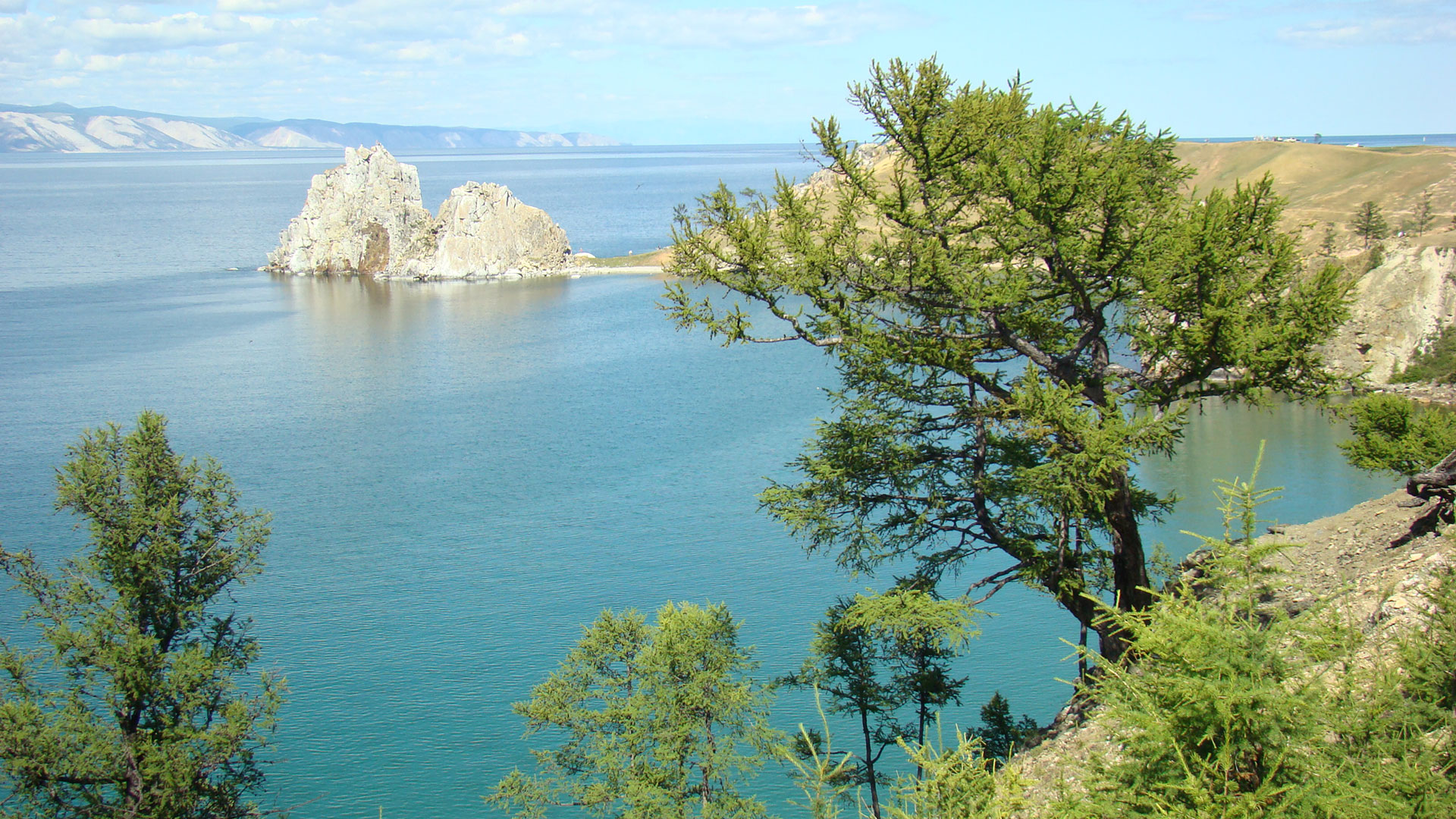La vida silvestre en la isla, como el lago mismo, estuvo bajo amenaza durante años