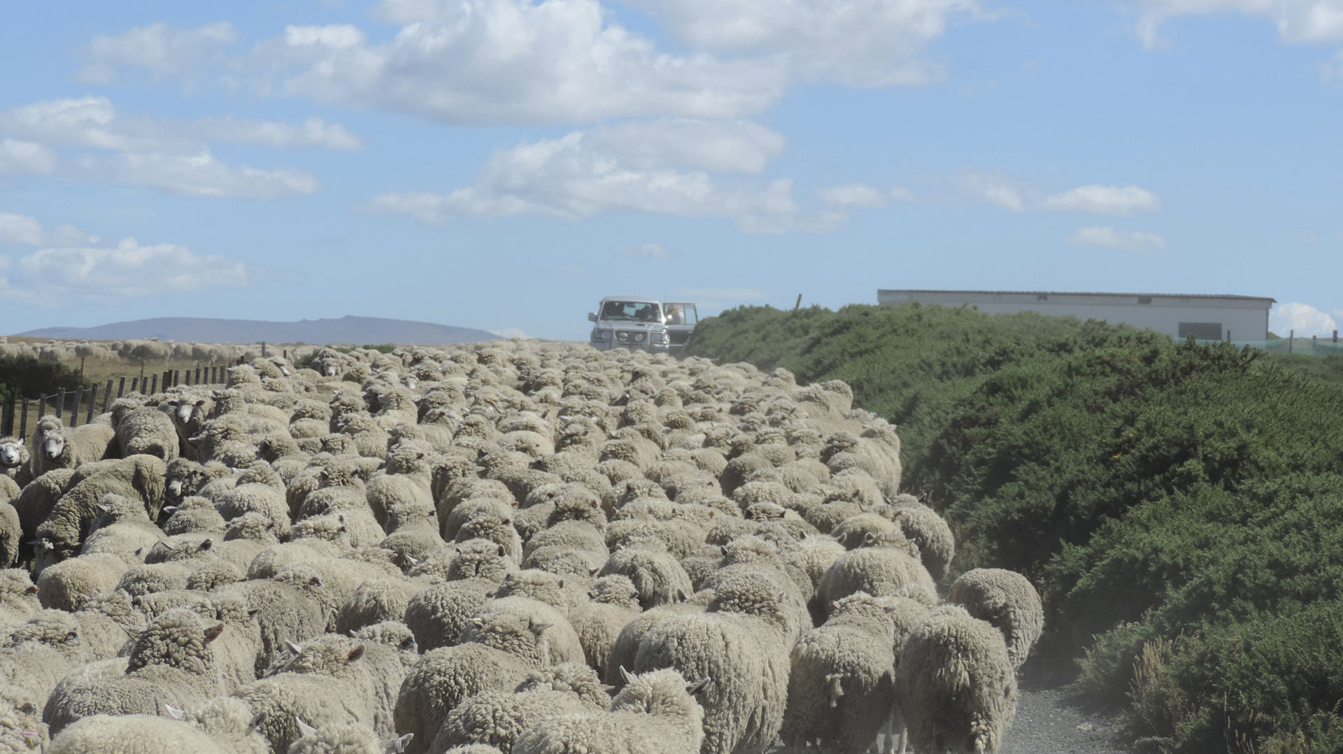La vida agrícola está presente apenas unos pasos más allá del centro. Es el centro de la vida local