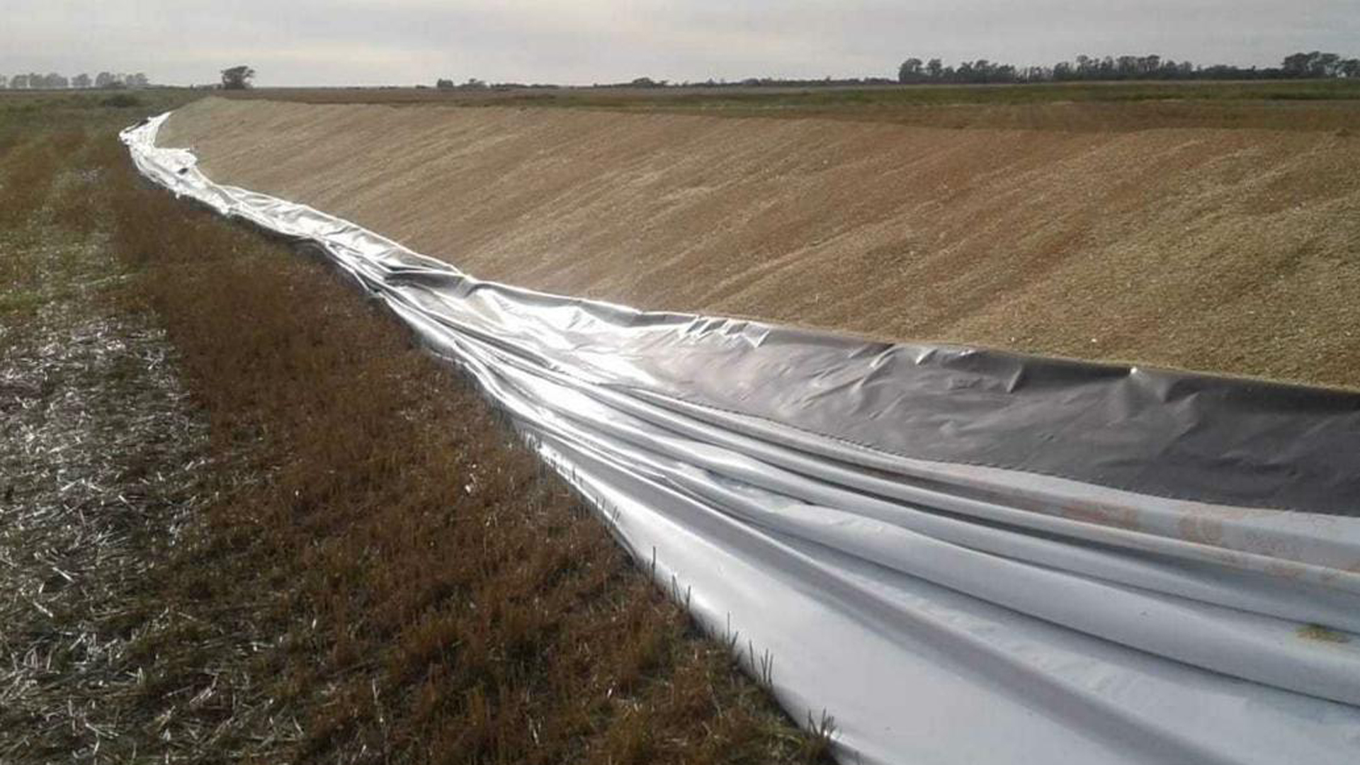 Así quedó el silobolsa de trigo que rompieron en el campo de Saleme. (FOTO: Alejandro Saleme)