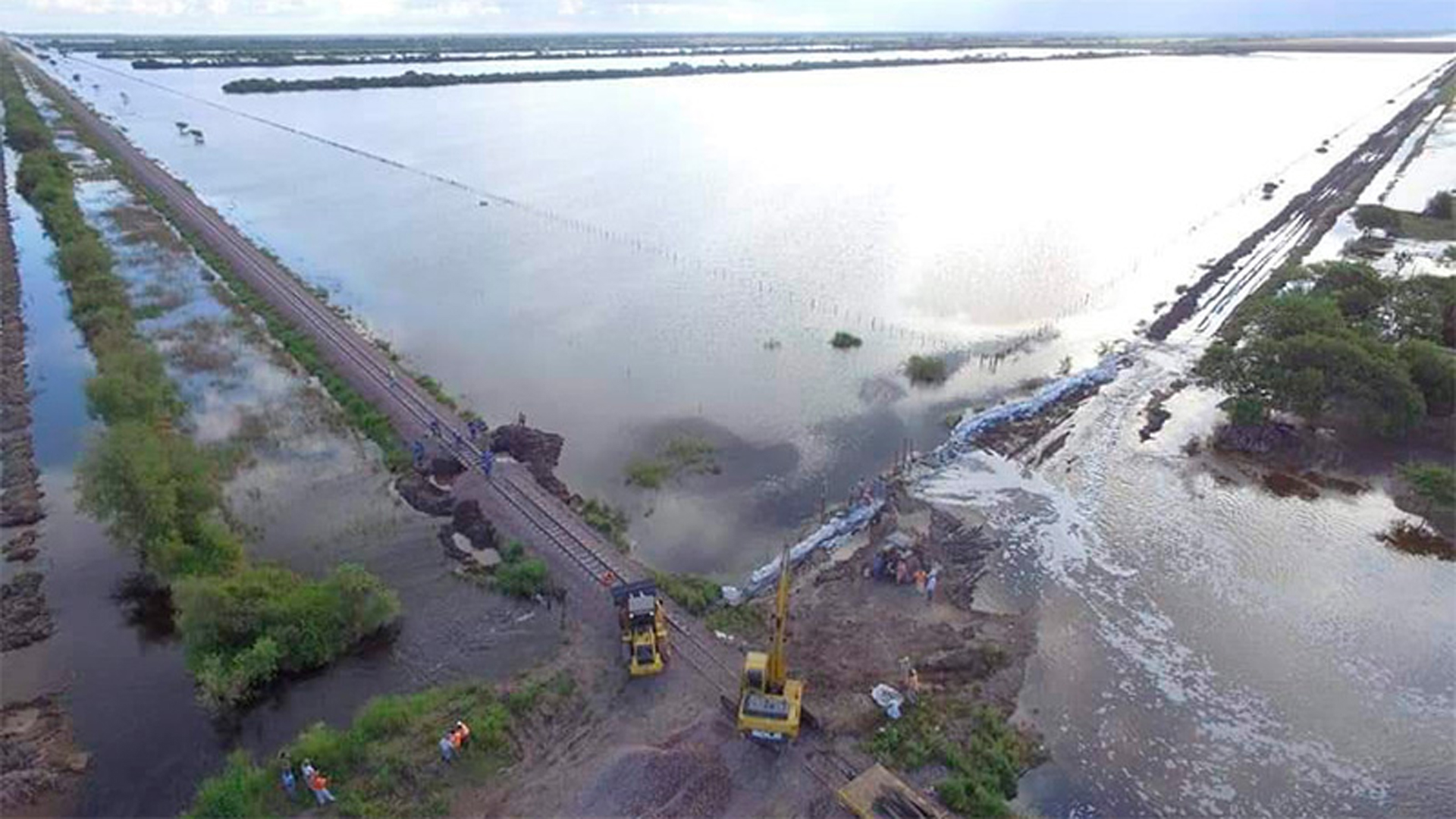 Frente al complejo panorama que se vive por las inundaciones en varias provincias, el Senasa lanzó una serie de recomendaciones.