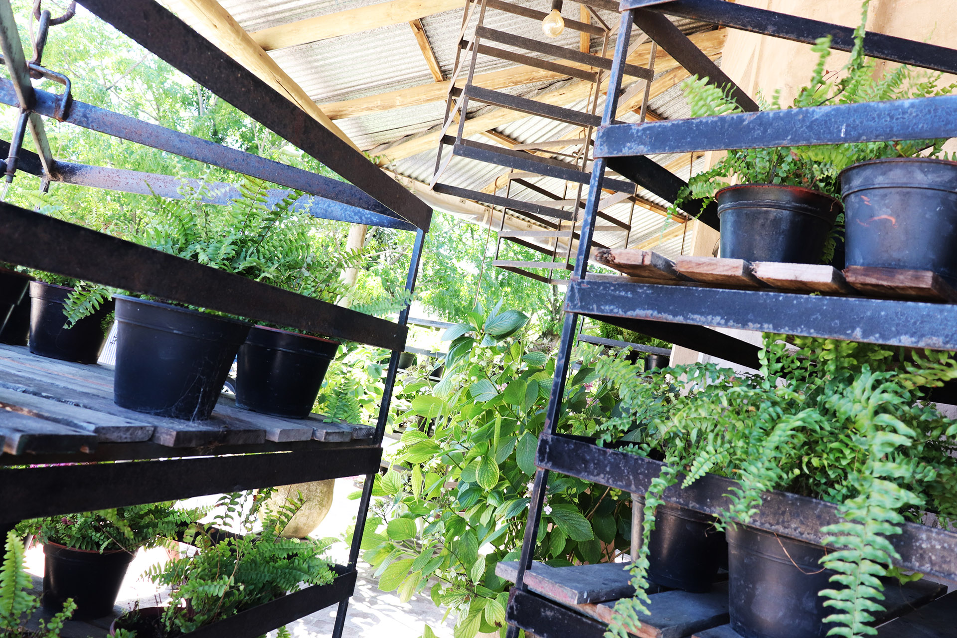 Entre el verde de la vegetación y el marrón de la madera: la fachada del hotel & restaurante es bien tradicional