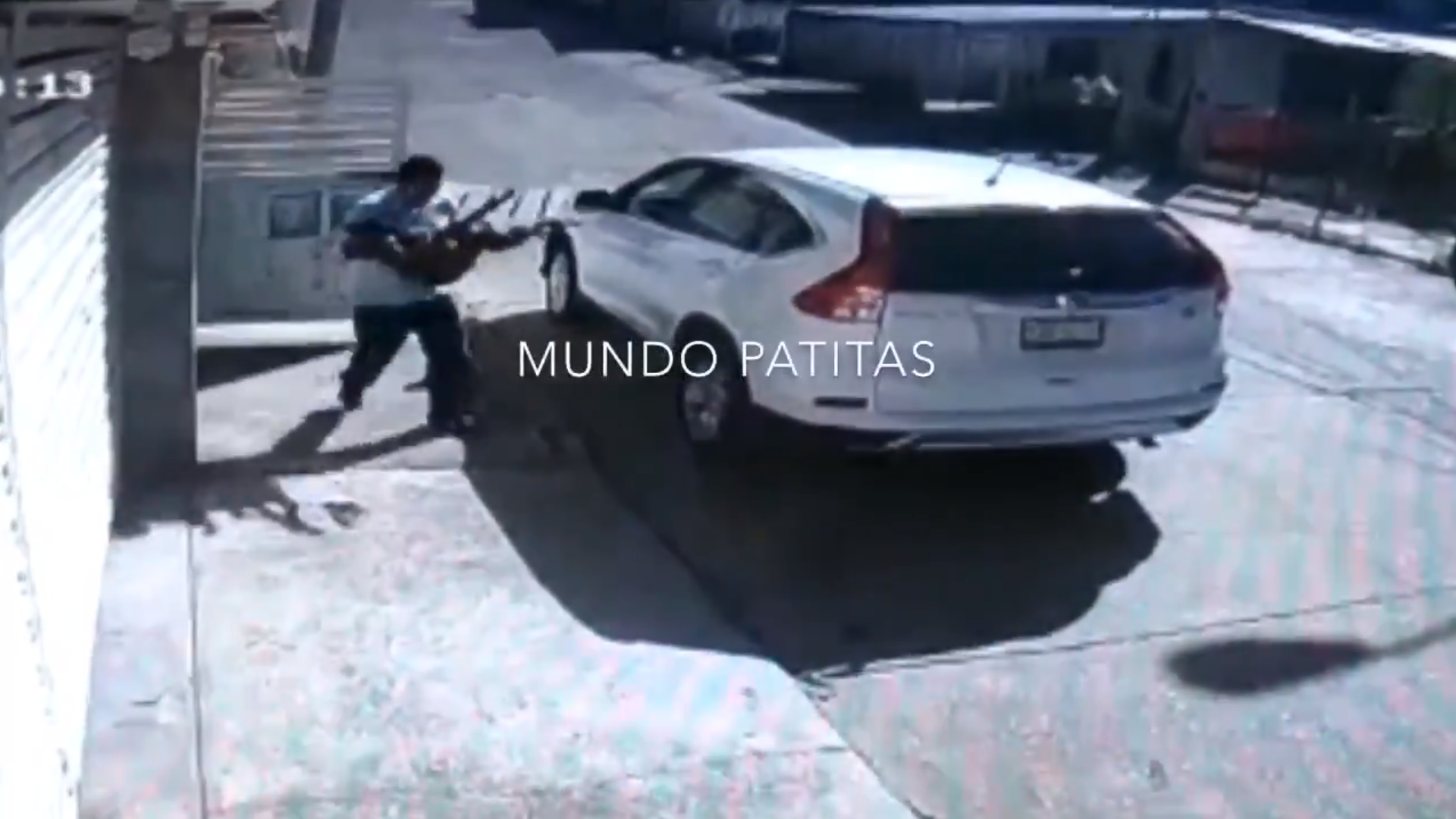 Las cámaras captaron al dueño con uno de los canes envenenados en sus brazos. Corriendo, los introdujo en el maletero de su auto para trasladarlos al veterinario (Foto: Captura de pantalla @MundoPatitas)