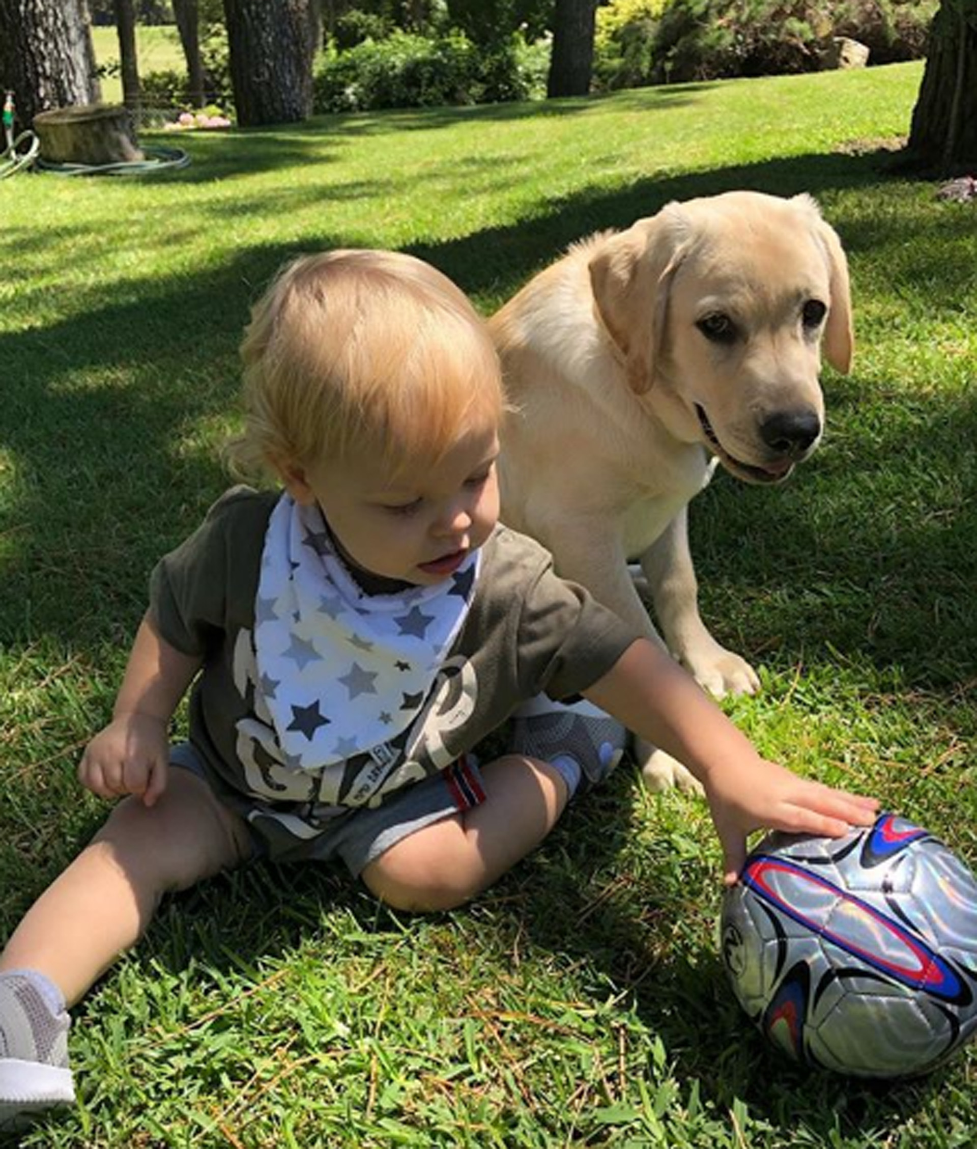 Al conductor y a su bebé los acompañó su perro Bailey