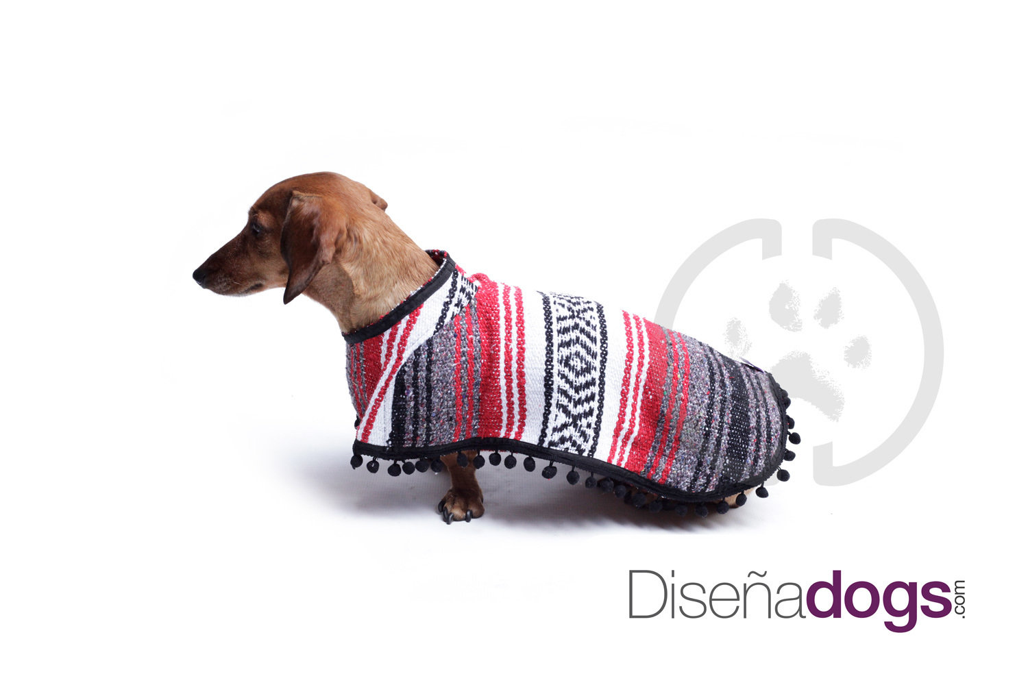 El dueño tiene que tomar en cuenta las medidas del largo del perro y el alto u su cuello (Foto: Diseñadogs)