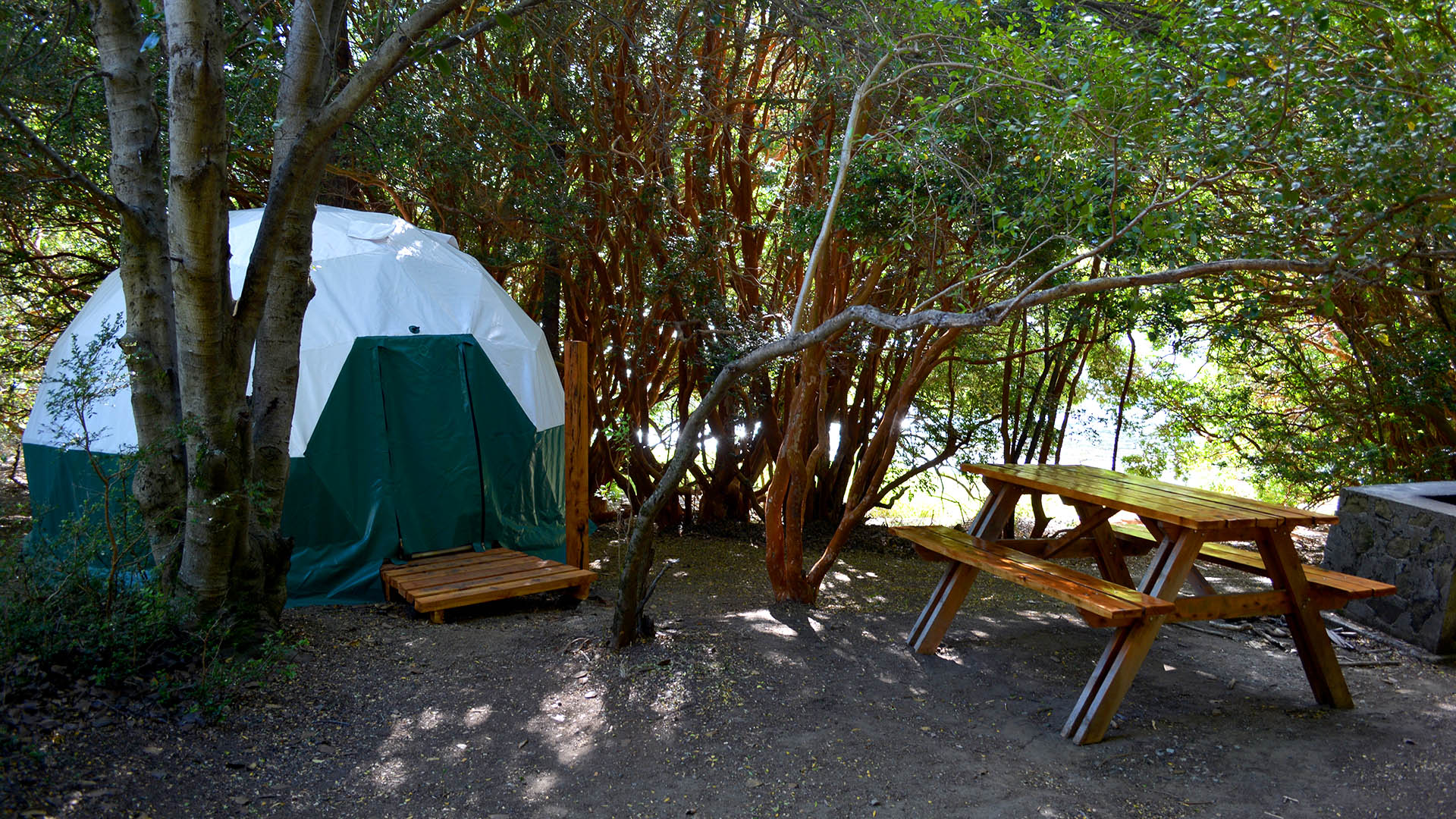 El Aura Lodge, inmerso en el Parque Nacional Los Alerces, montó sus domos en un espacio de una hectárea sobre la costa de Lago Verde y están rodeados por bosque de arrayanes (El Aura)