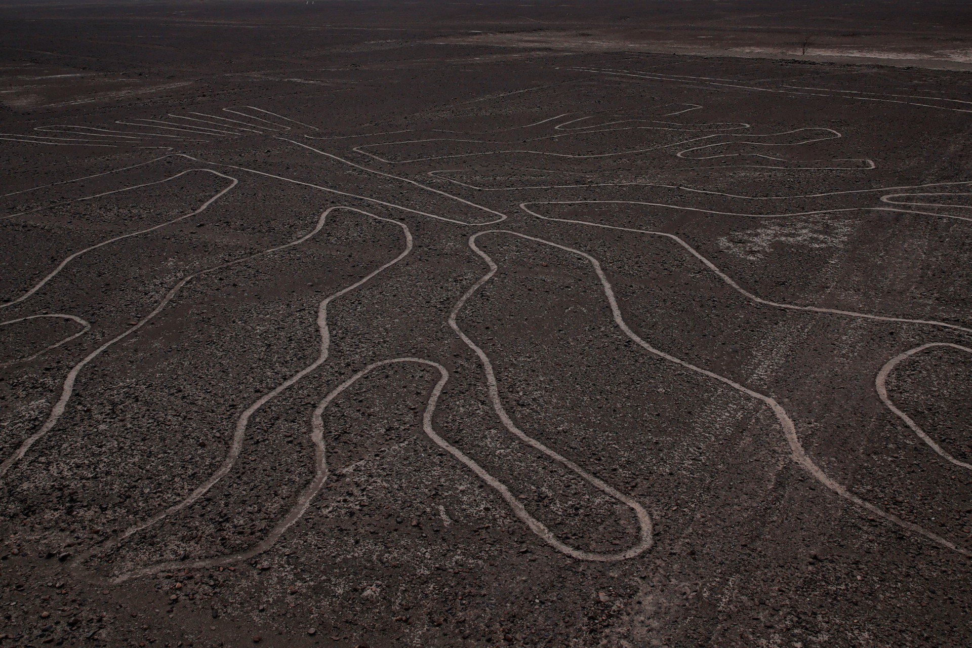 Las Líneas de Nazca se ven después de la Etapa 2 de Pisco a San Juan de Marcona, del Rally Dakar en Perú, 8 de enero de 2019.