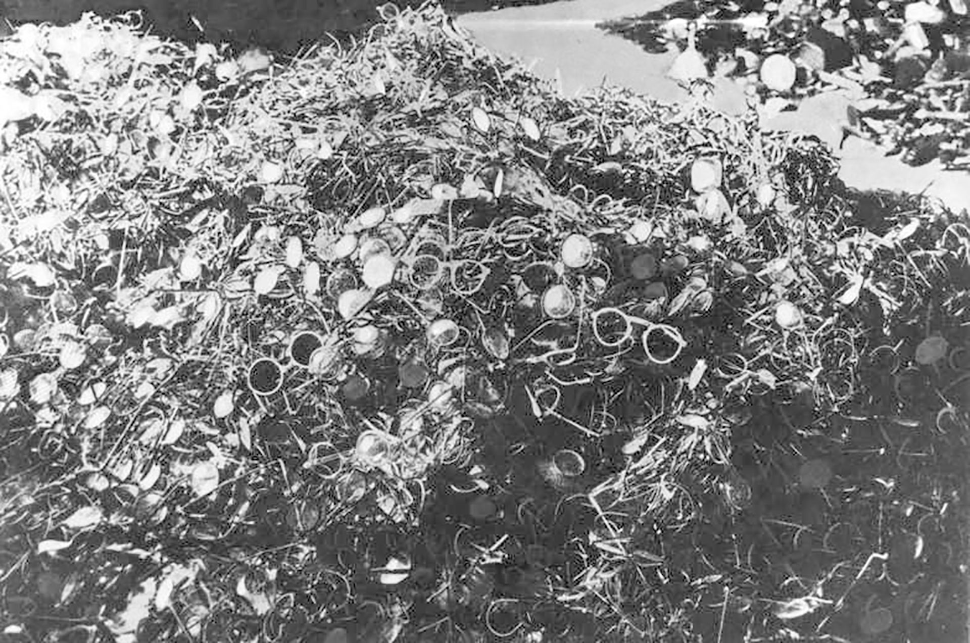 A partir de 1940 la Alemania nazi construyó varios campos de concentración y un campo de exterminio en Auschwitz que, al igual que el resto de los campos de concentración, estaban administrados por las SS, bajo el mando de Heinrich Himmler.