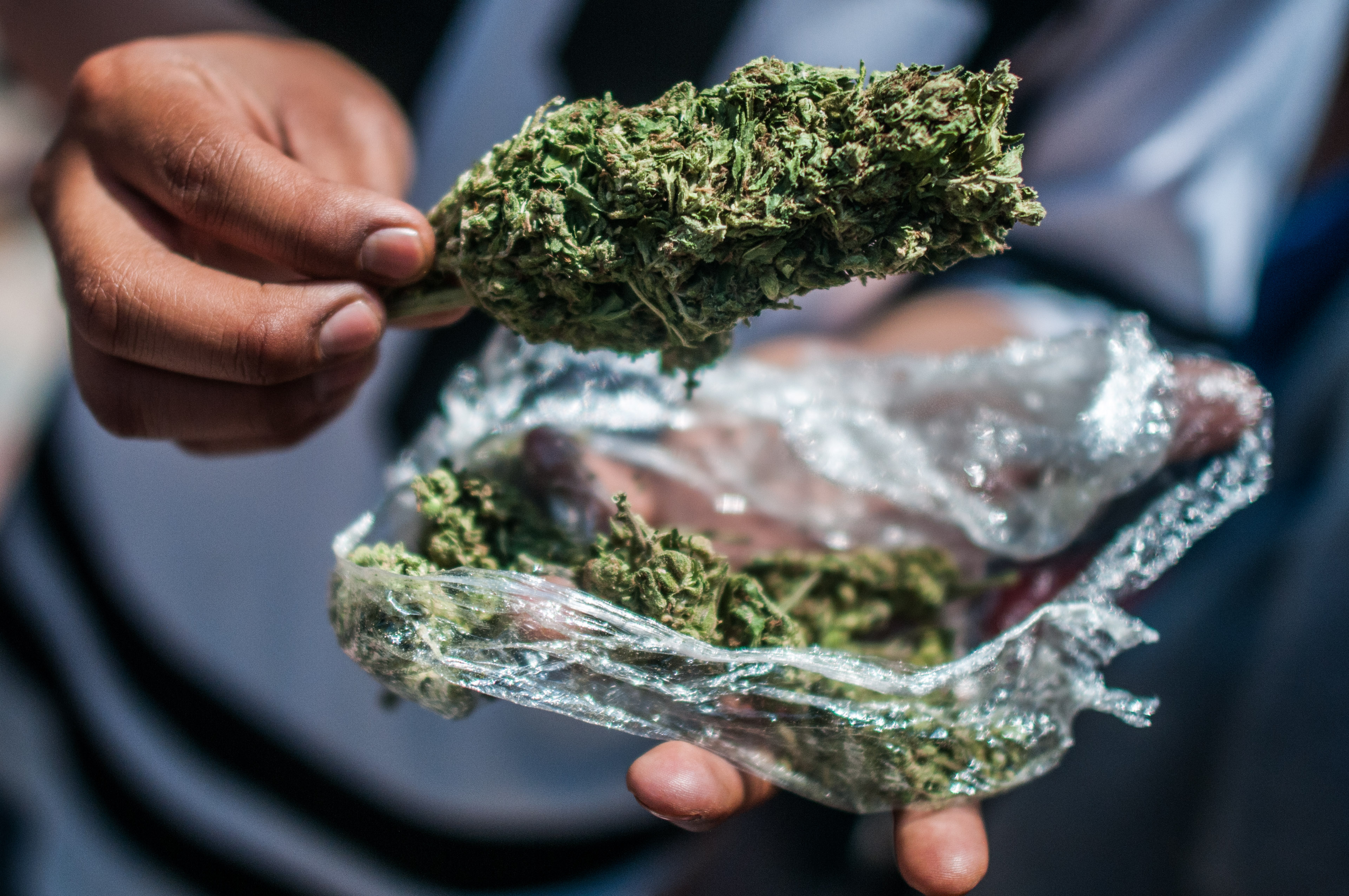 El 20 de abril los jóvenes mexicanos celebran el día en el que se conmemora el consumo de la marihuana y se promueve la idea de legalizarla (Foto: DIEGO SIMÓN SÁNCHEZ /CUARTOSCURO.COM)
