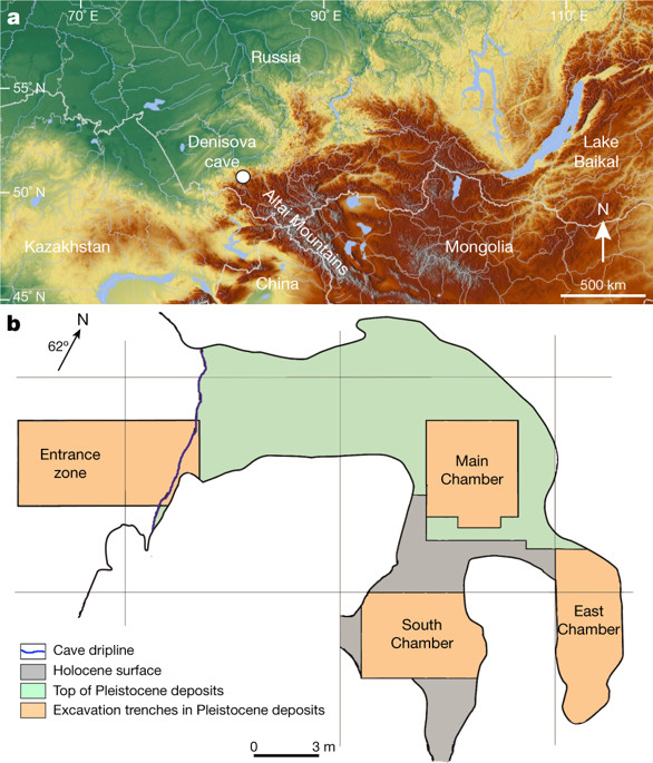 La caverna ubicada en Siberia tiene una entrada (Entrance zone) y tres cámaras: principal (Maine Chamber), sur (South Chamber) y este (East Chamber) (Nature)
