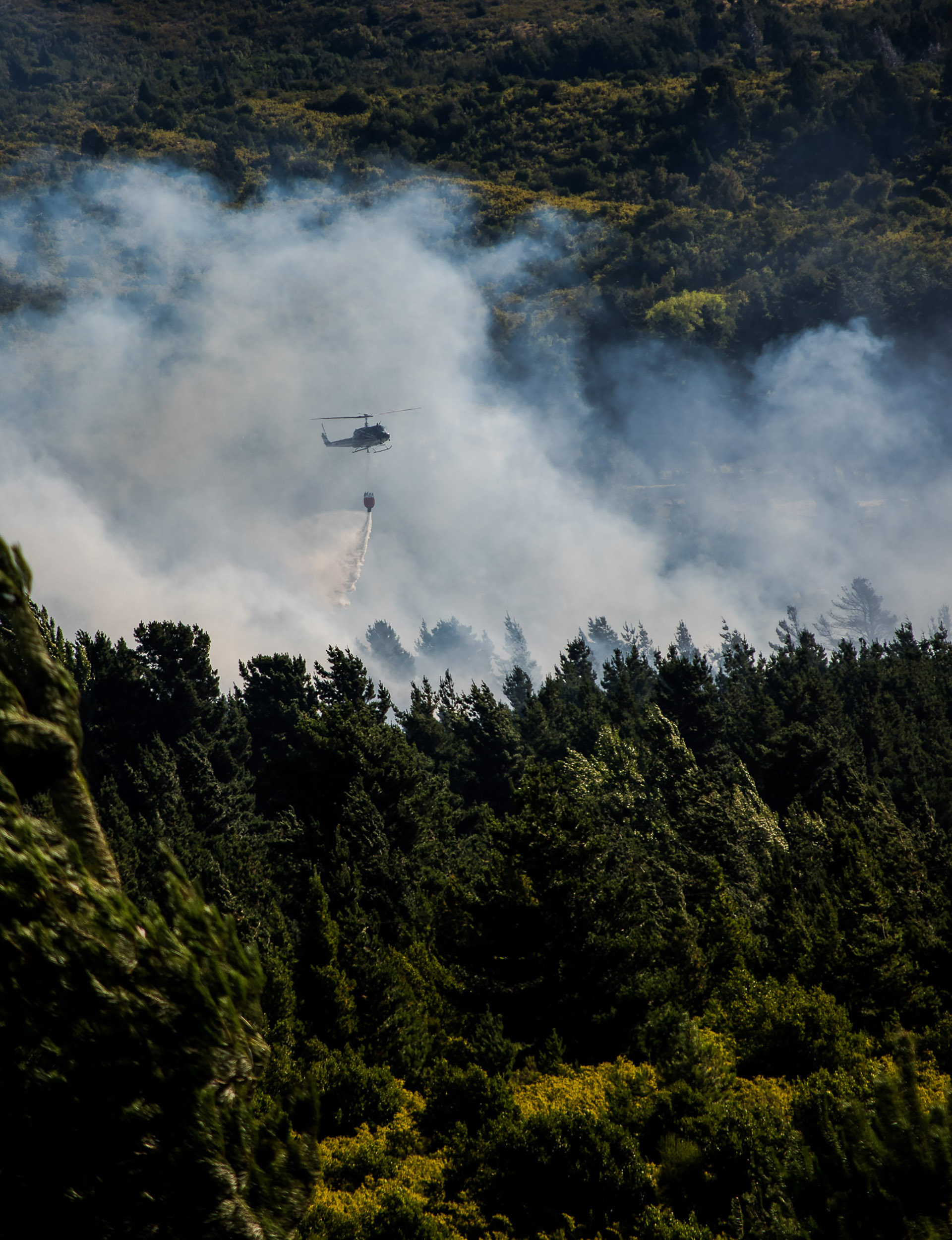 El gobierno de Chubut ofreció una recompensa de $100.000 a quienes entreguen información para detener a quienes hayan provocado los incendios forestales