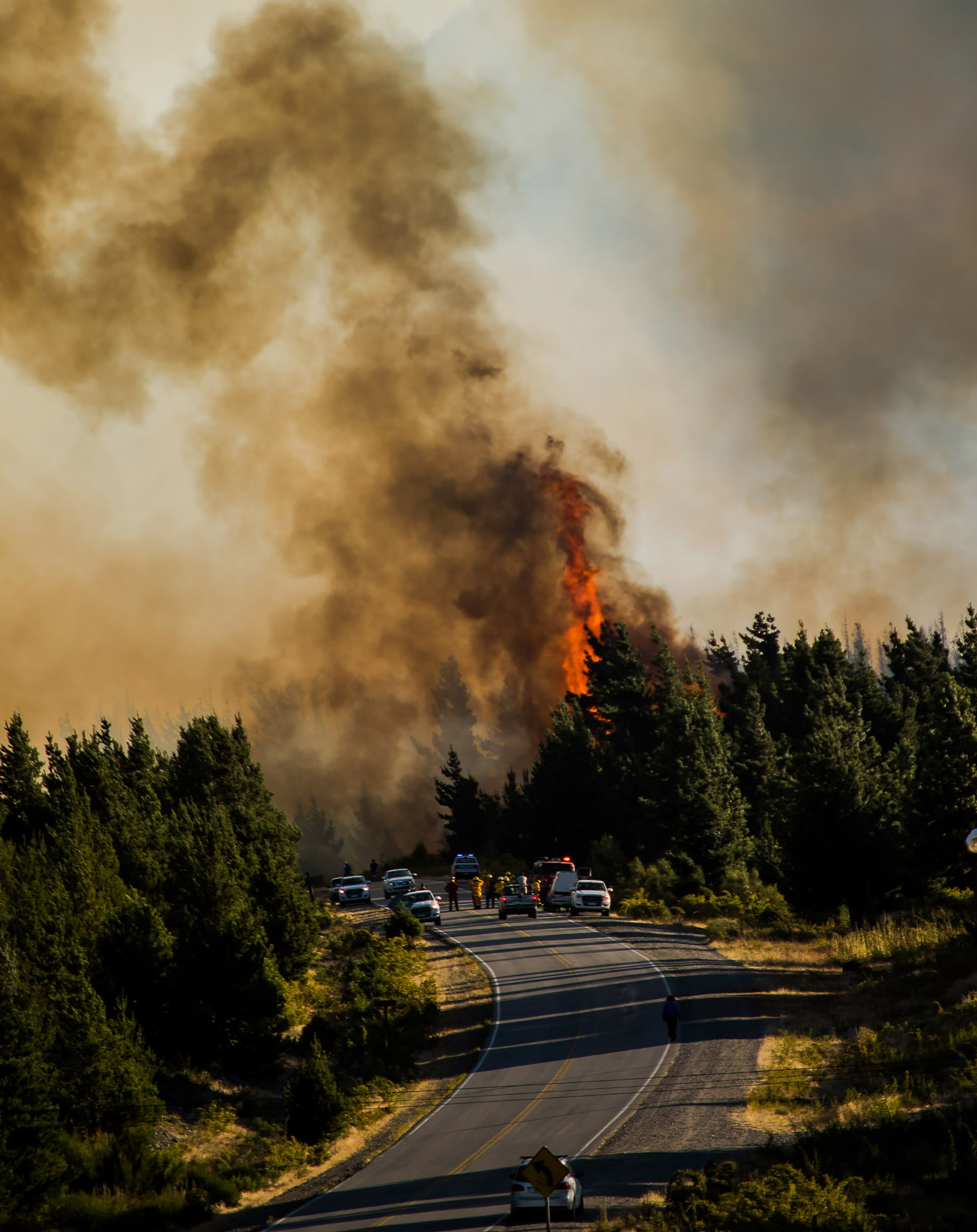 Se estima que hasta el momento el fuego afectó alrededor de 450 hectáreas