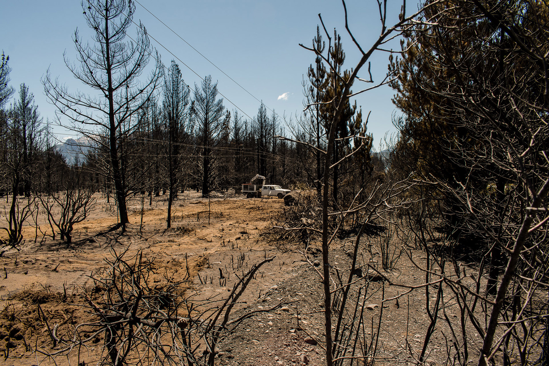 El incendio en la localidad de Epuyén continua activo y su frente está en la estancia de Luciano Benetton