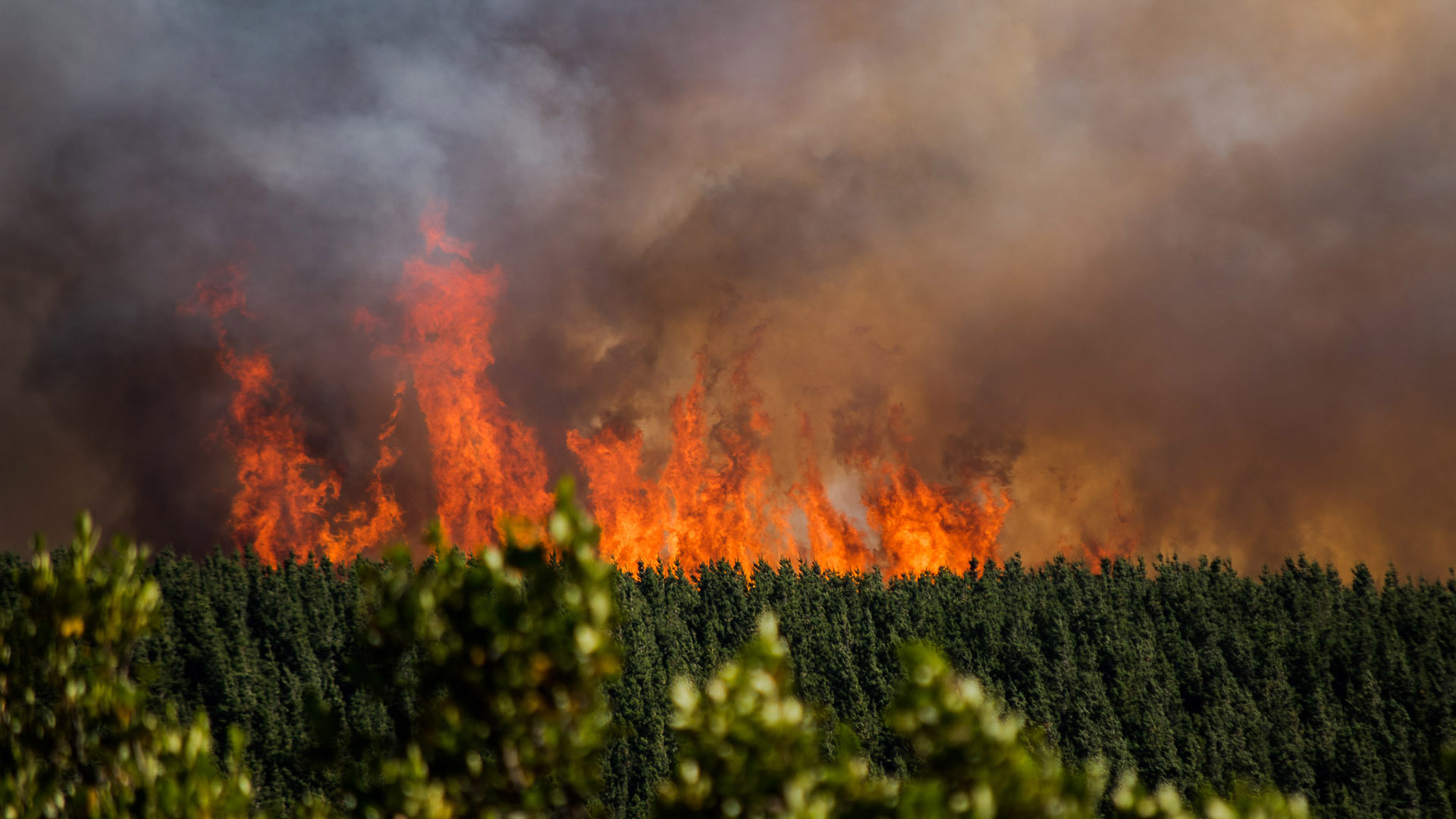 El incendio comenzó el martes pasadas las 16.30 en la zona del Paraje La Rinconada