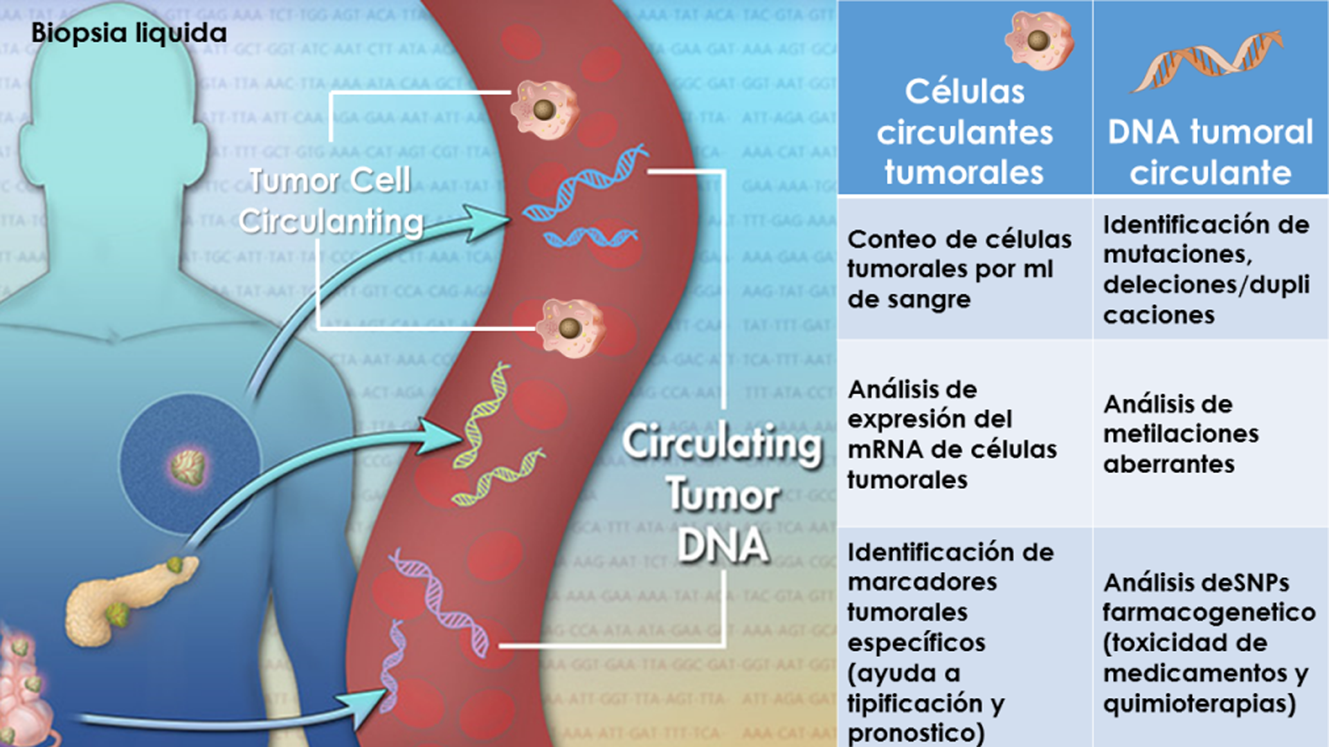 La biopsia líquida podría reducir a la mitad las tasas de mortalidad por cáncer