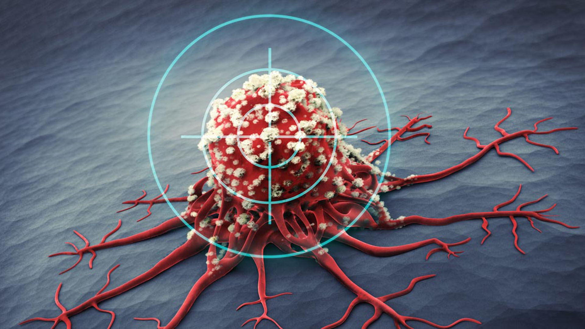 Favre estudia desde 2009 “a nivel molecular de qué manera las células normales y tumorales del hígado toman distintos caminos cuando son sometidas a estrés energético”