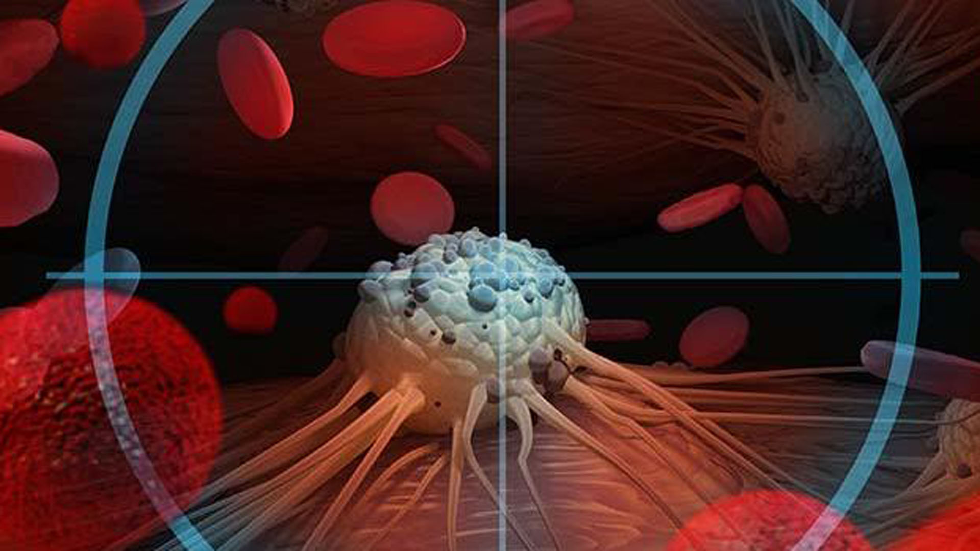 El tumor del paciente debe ser analizado para determinar si tiene los blancos específicos para los cuales esa droga fue desarrollada