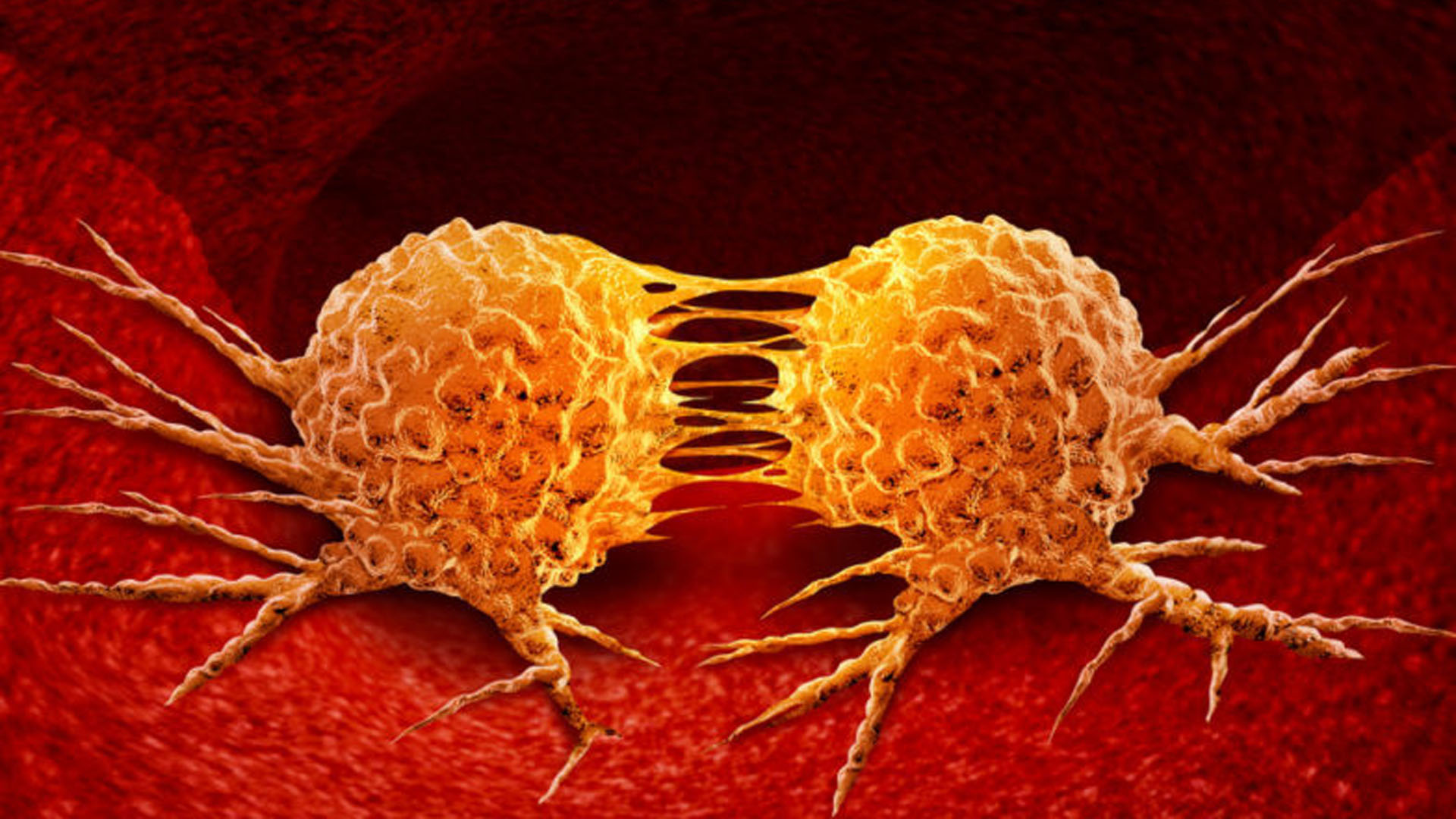 Los resultados pueden restaurar el potencial de un tipo de terapia contra el cáncer previamente abandonada en ensayos clínicos