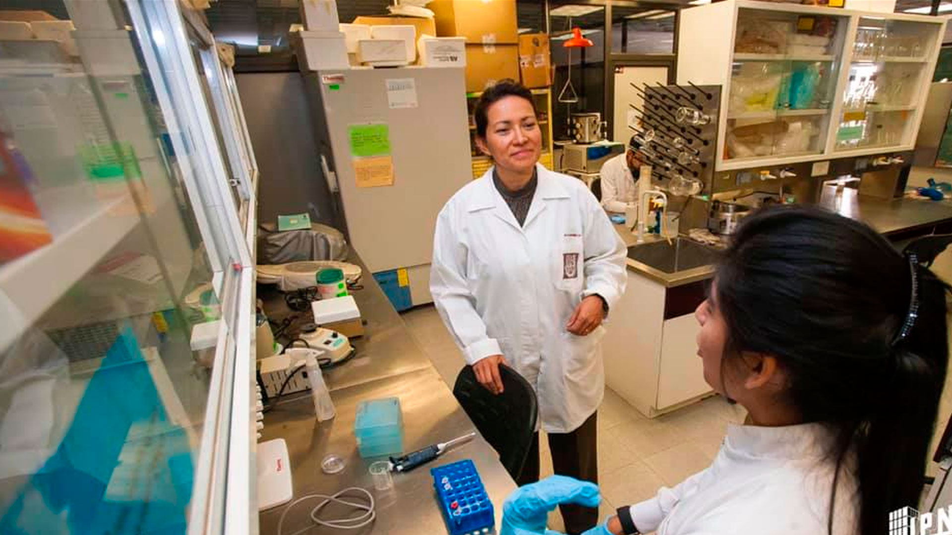 Cura para virus del papiloma humano