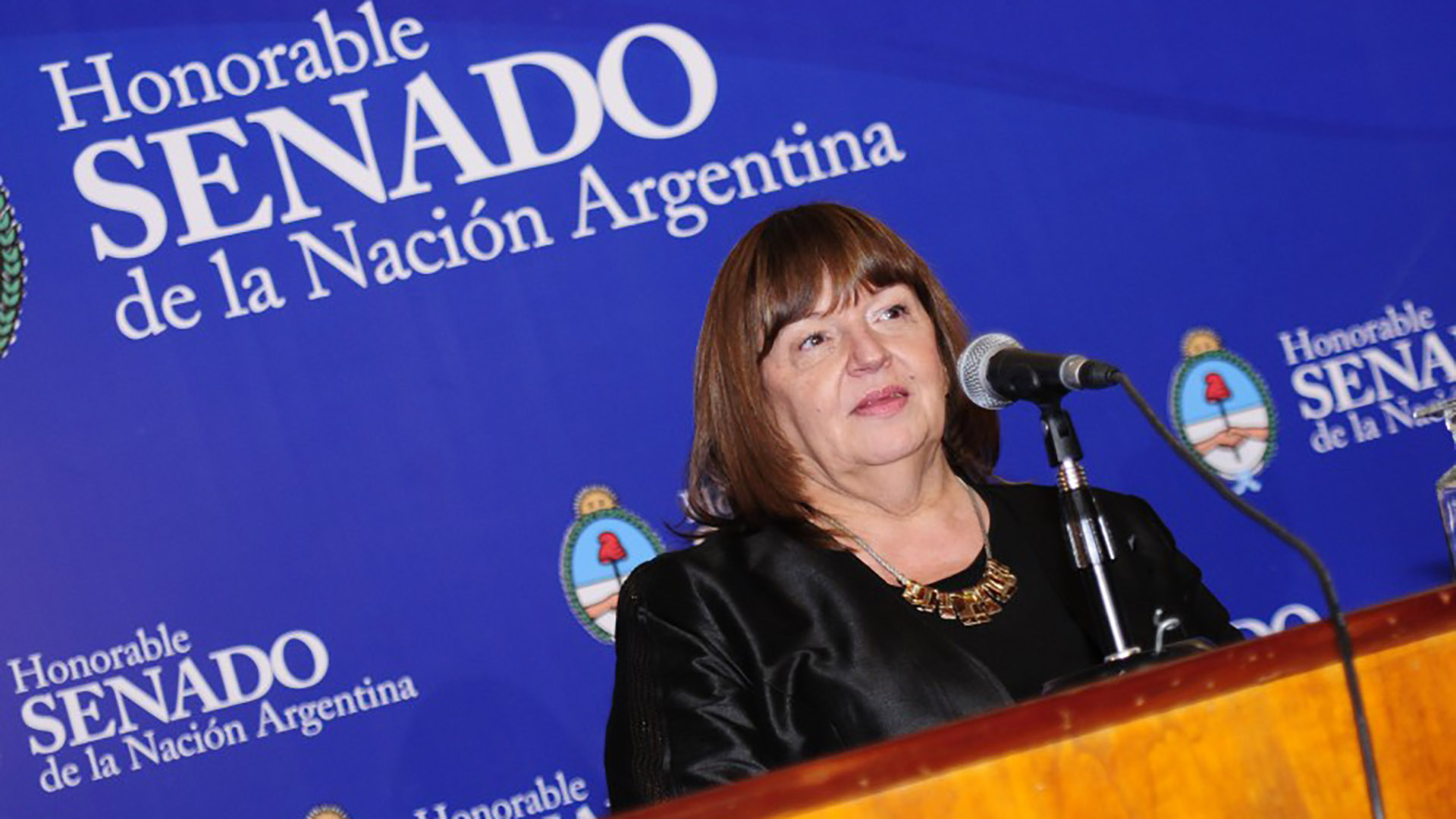 La presidenta de Cilsa recibió el reconocimiento de Personalidad Destacada de los Derechos Humanos en el honorable senado de la Nación