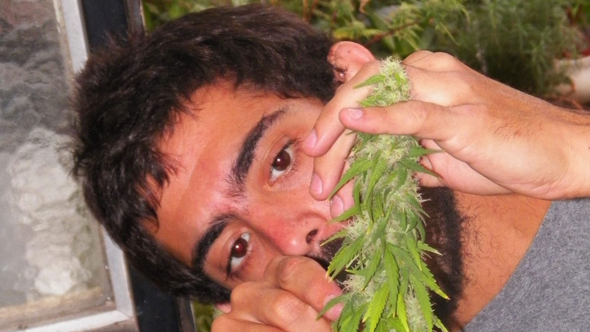 Iván Malajovich