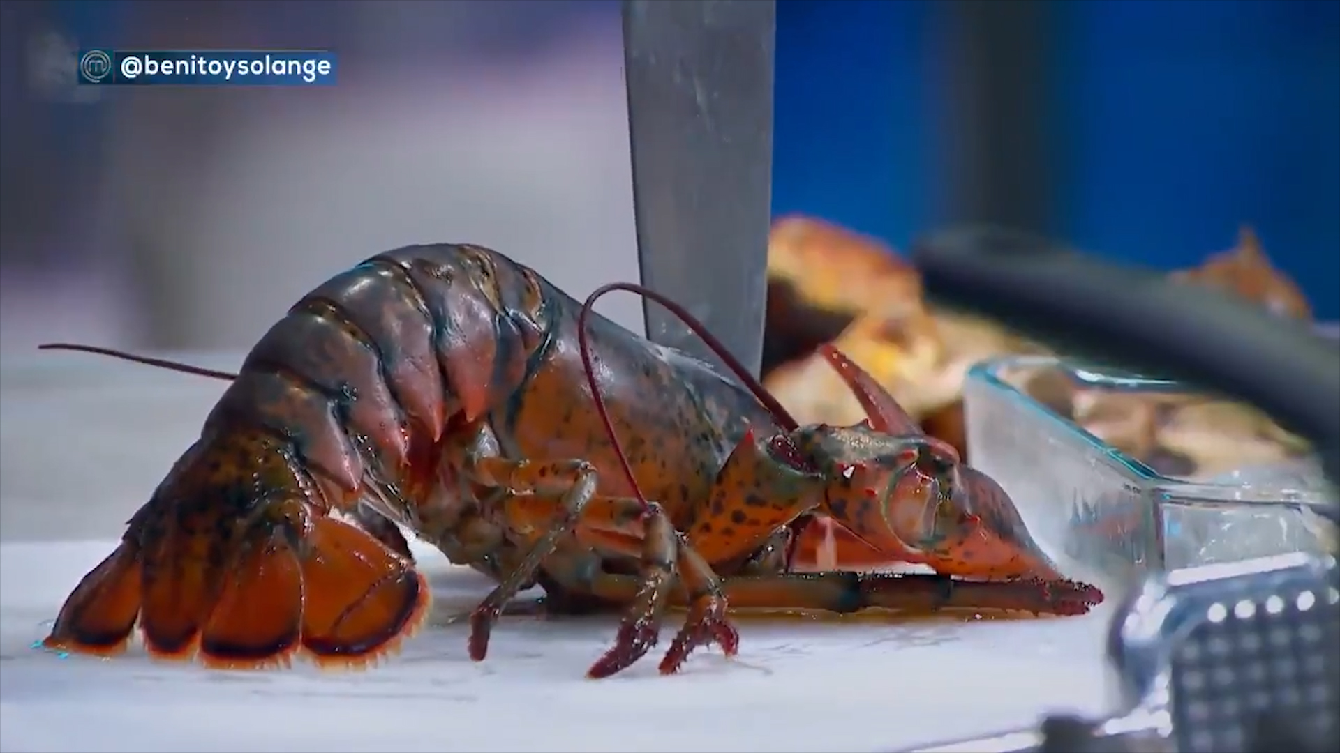 Gente por la Defensa Animal A.C. pidió a la cadena TV Azteca que no transmita escenas de sacrificio de animales (Foto: MasteChef México)
