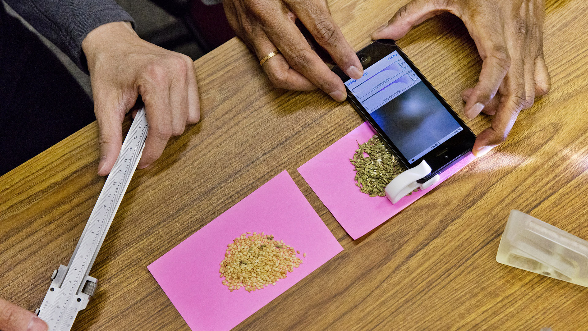 IBM presentó un sensor de IA para el smartphone que detecta bacterias en  los alimentos en tiempo real - Infobae