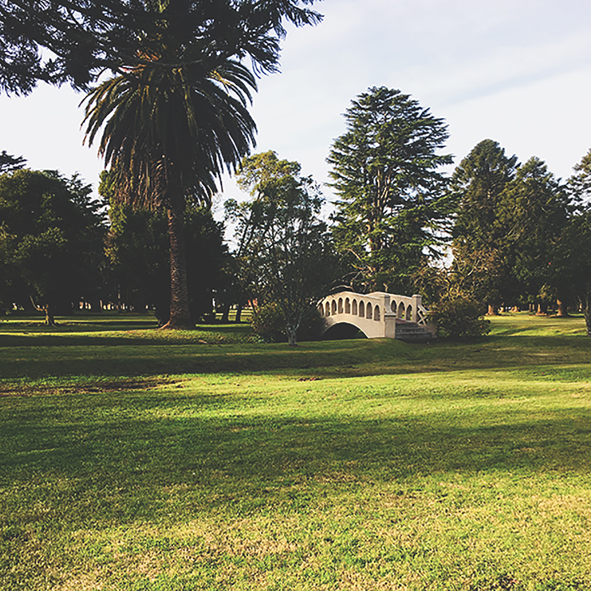La parquización de los jardines invitan a contemplar su belleza al aire libre