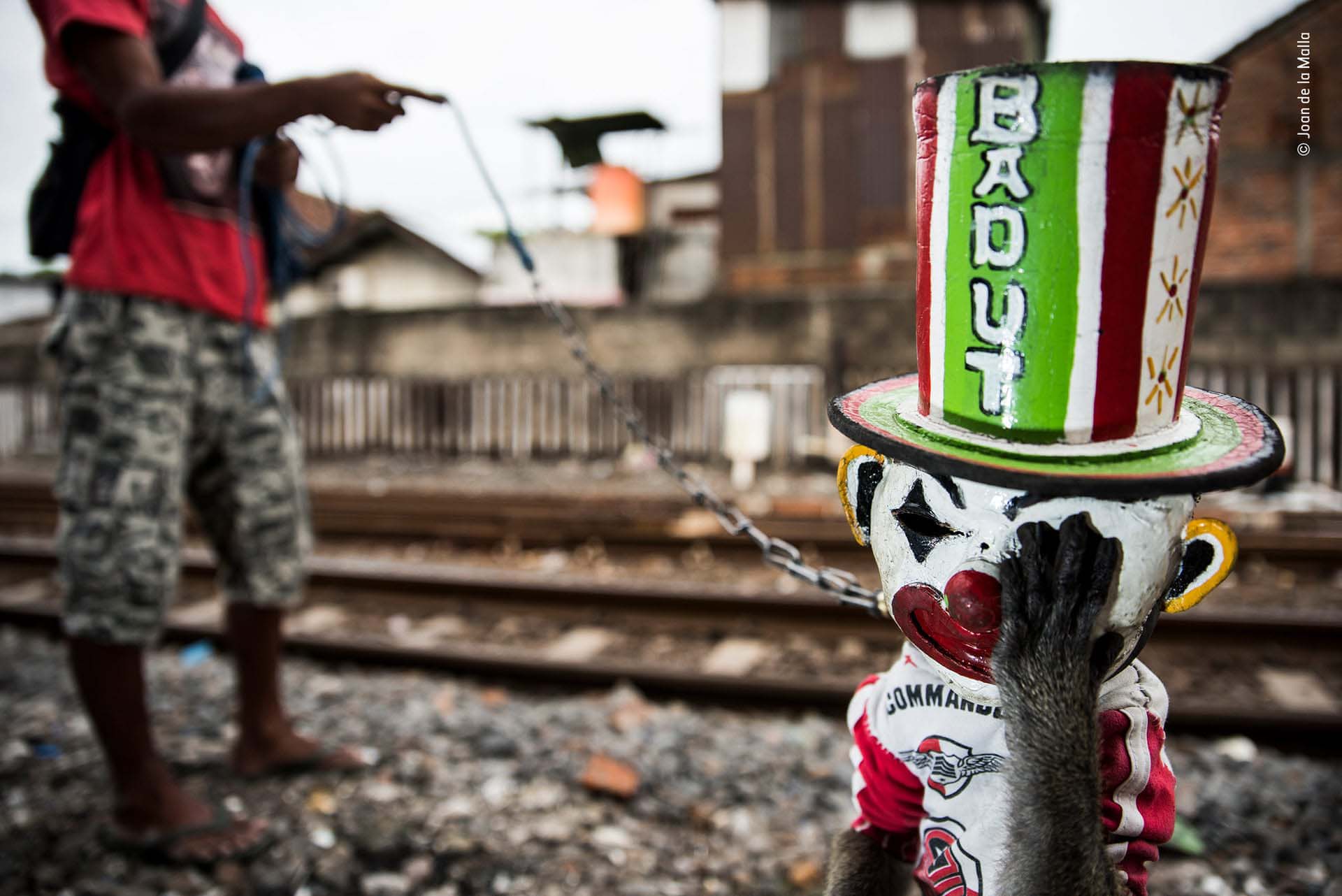 ‘El payaso triste’: Timbul, un macaco de cola larga, se lleva la mano a la cara para tratar de aliviar la incomodidad de su máscara mientras se entrena para ponerse de pie para un espectáculo callejero. Lugares como este son comunes en Indonesia, y Joan de la Malla pasó mucho tiempo ganándose la confianza de los dueños de los monos