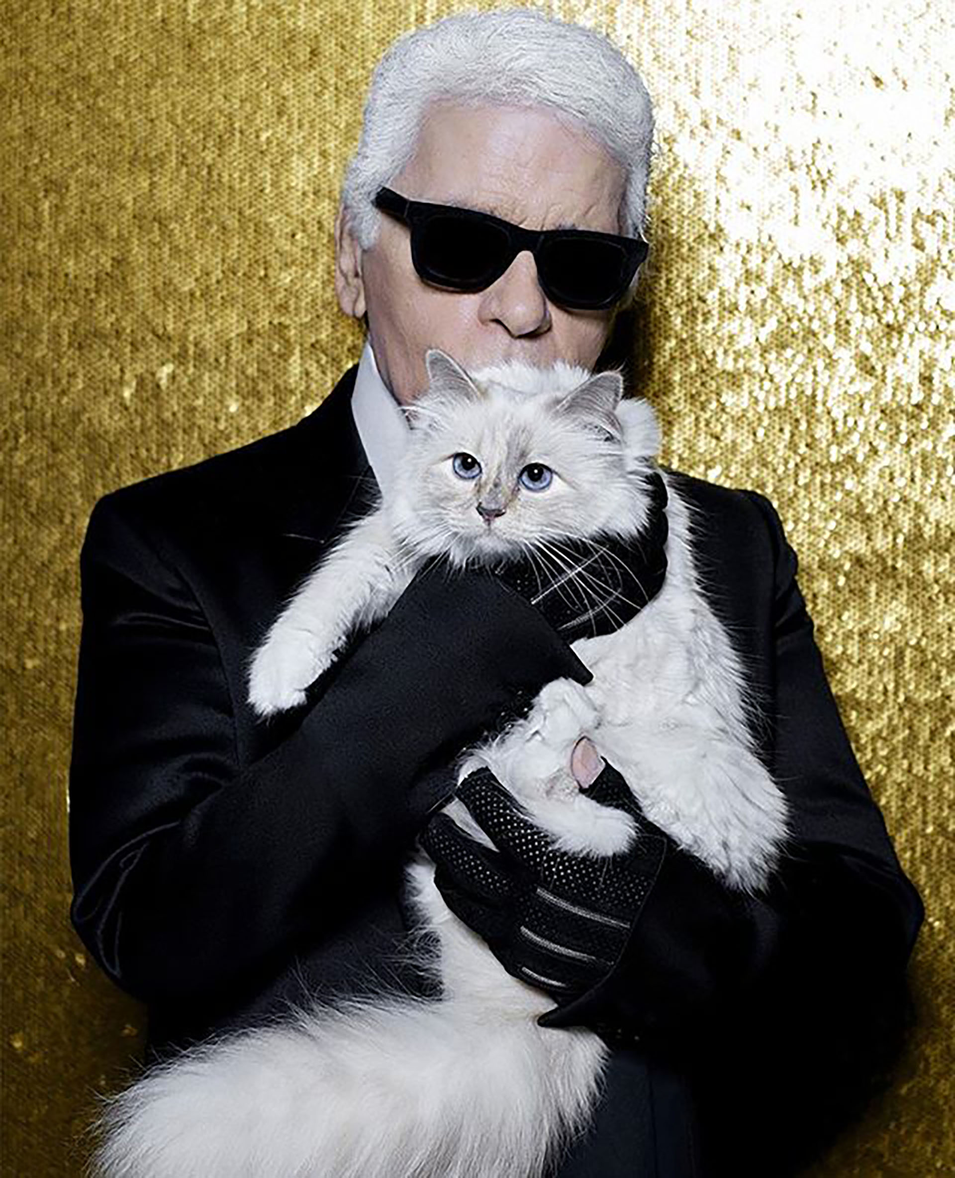 Junto a su amada gata Choupette, que ha sido portada de la revista Vogue junto a Linda Evangelista, y hasta tiene una biografía: “Choupette: la vida privada de una gata de la moda de alto vuelo”